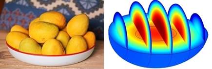 Un cesto di mango e la rappresentazione matematica del frutto esotico