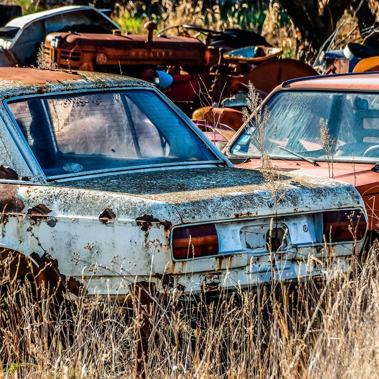 Un'automobile abbandonata ha un impatto gigantesco sull'ambiente