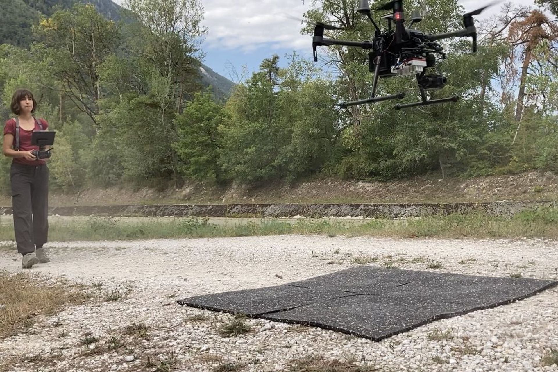 Tyrėjas Petra D'Odorico skraido dronu Pfynwald miško tyrimų vietoje Valė 2020 m. vasarą (Frederiko BaumgartenWSL nuotrauka)