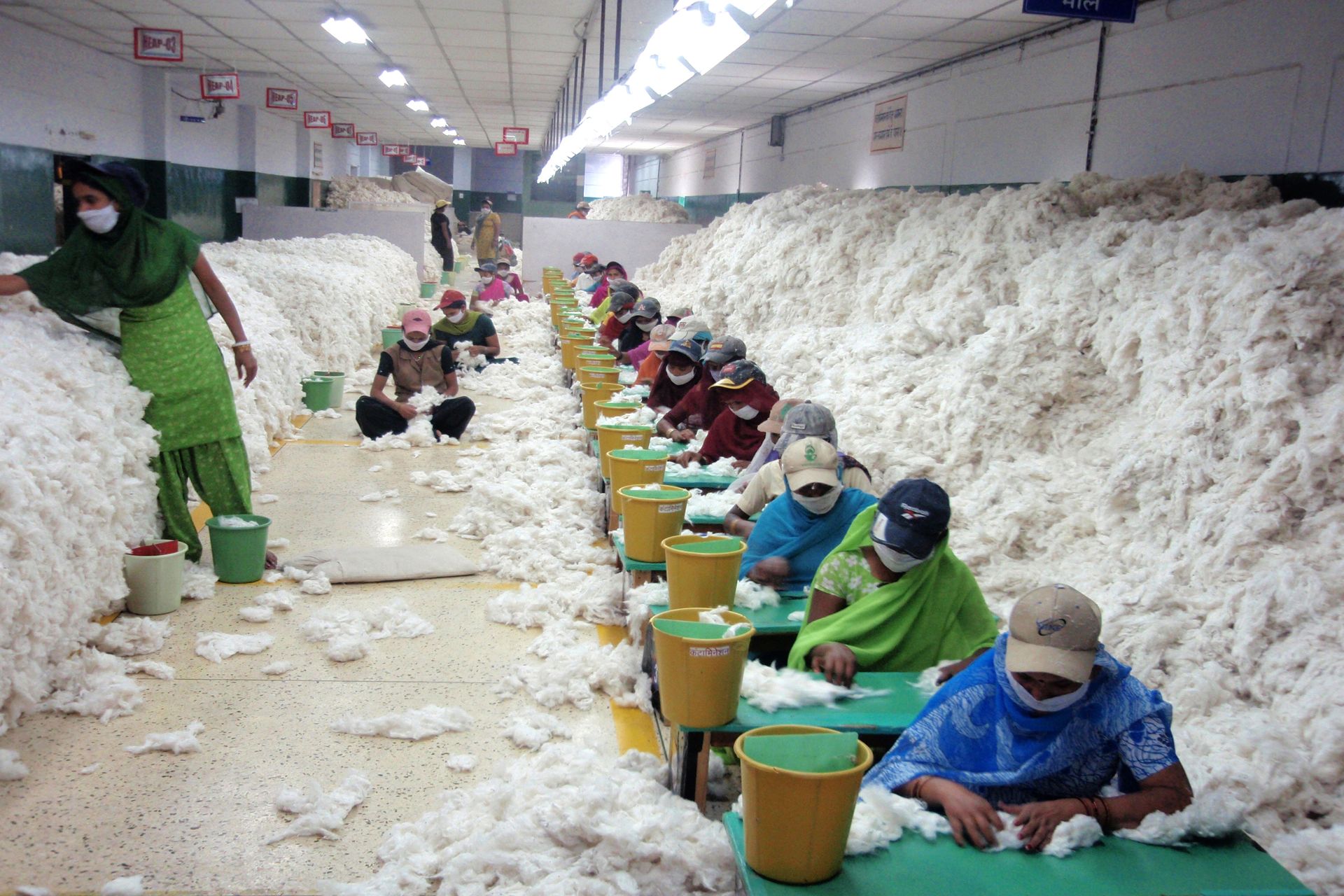 Lavoratori impegnati nella decontaminazione manuale della bambagia