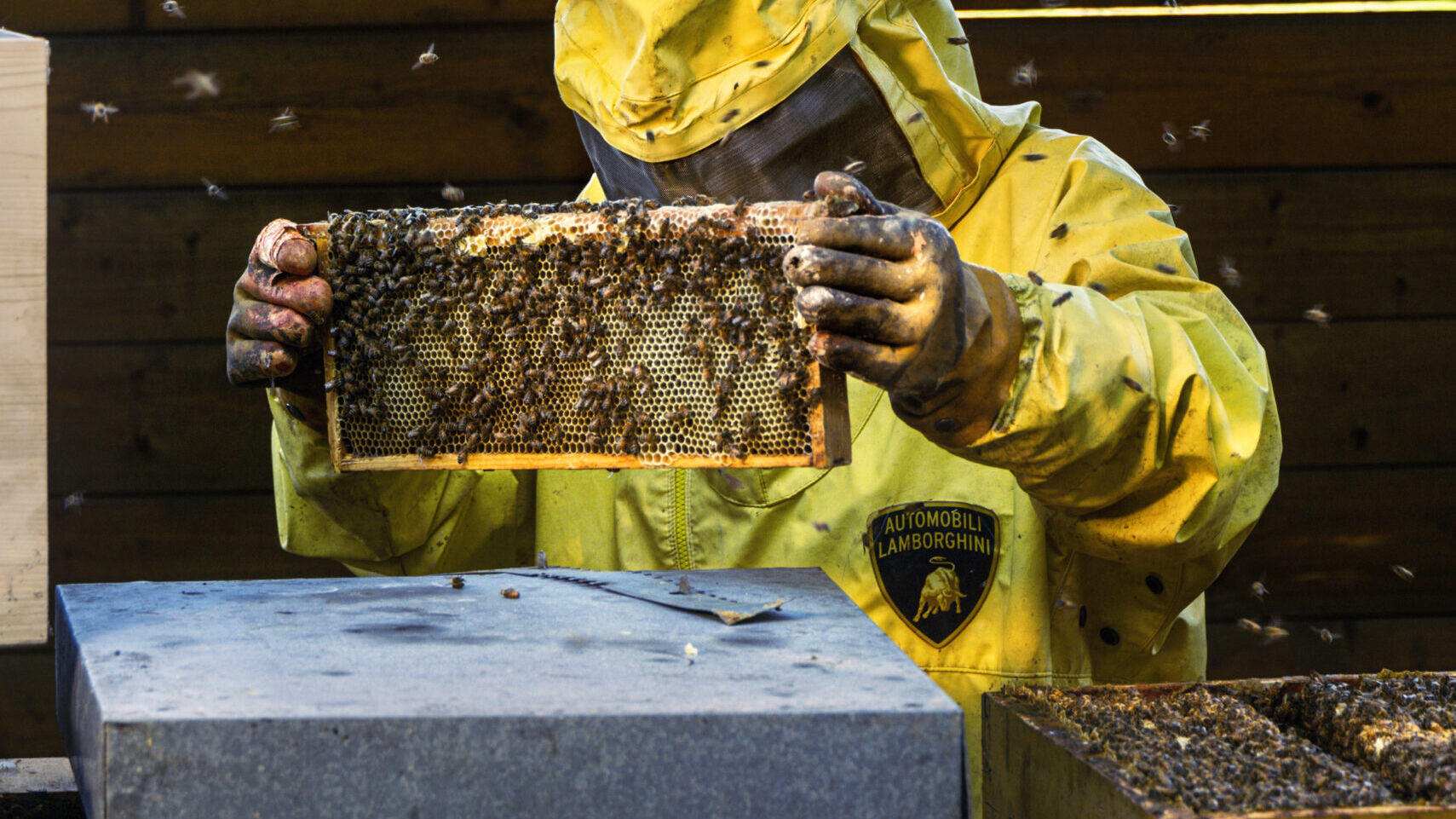 Automobili Lamborghini ha dato vita a progetti di biomonitoraggio con le api