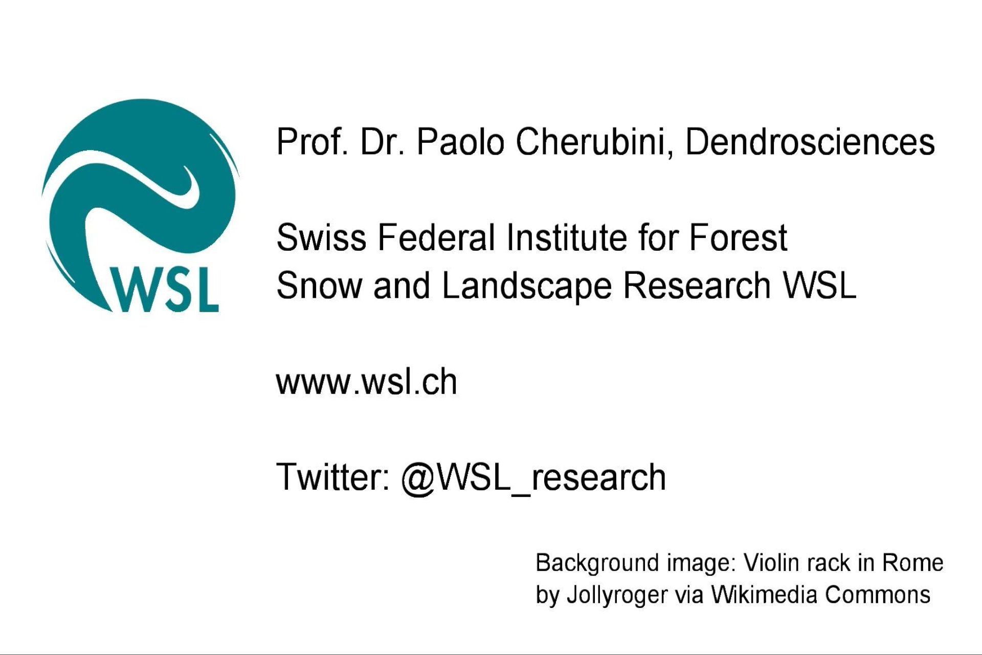 Paolo Cherubini je vedoucím vědeckým pracovníkem v oblasti dynamiky lesa ve Švýcarském federálním institutu pro výzkum lesů, sněhu a krajiny