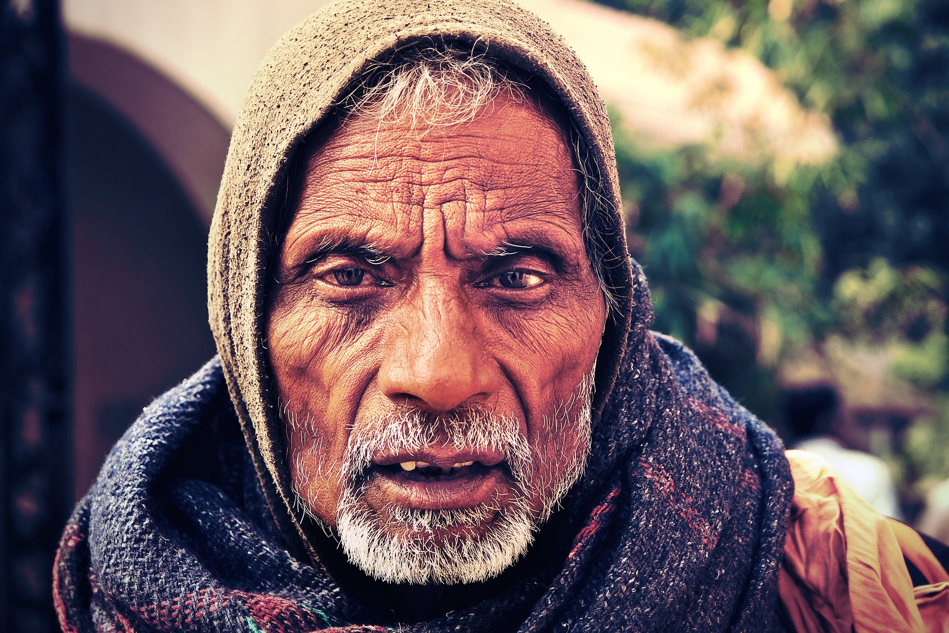 Un anziano agricoltore dell'India rurale confrontato con la produzione di frutta