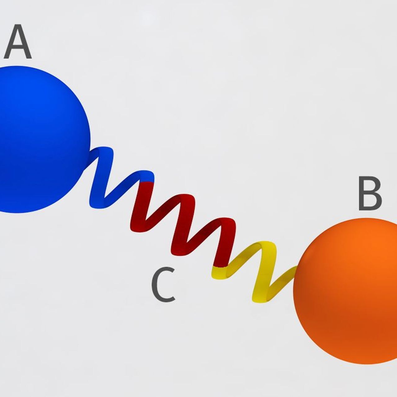 Rendering del principio del ponte proteico sviluppato al PSI in Svizzera: due proteine (A e B) sono collegate l'una all'altra a una distanza e un angolo fissi, per mezzo di una spirale proteica rigida, in maniera che non possano avvicinarsi e non possano interagire (Grafica: Mahir Dzambegovic/Istituto Paul Scherrer)
