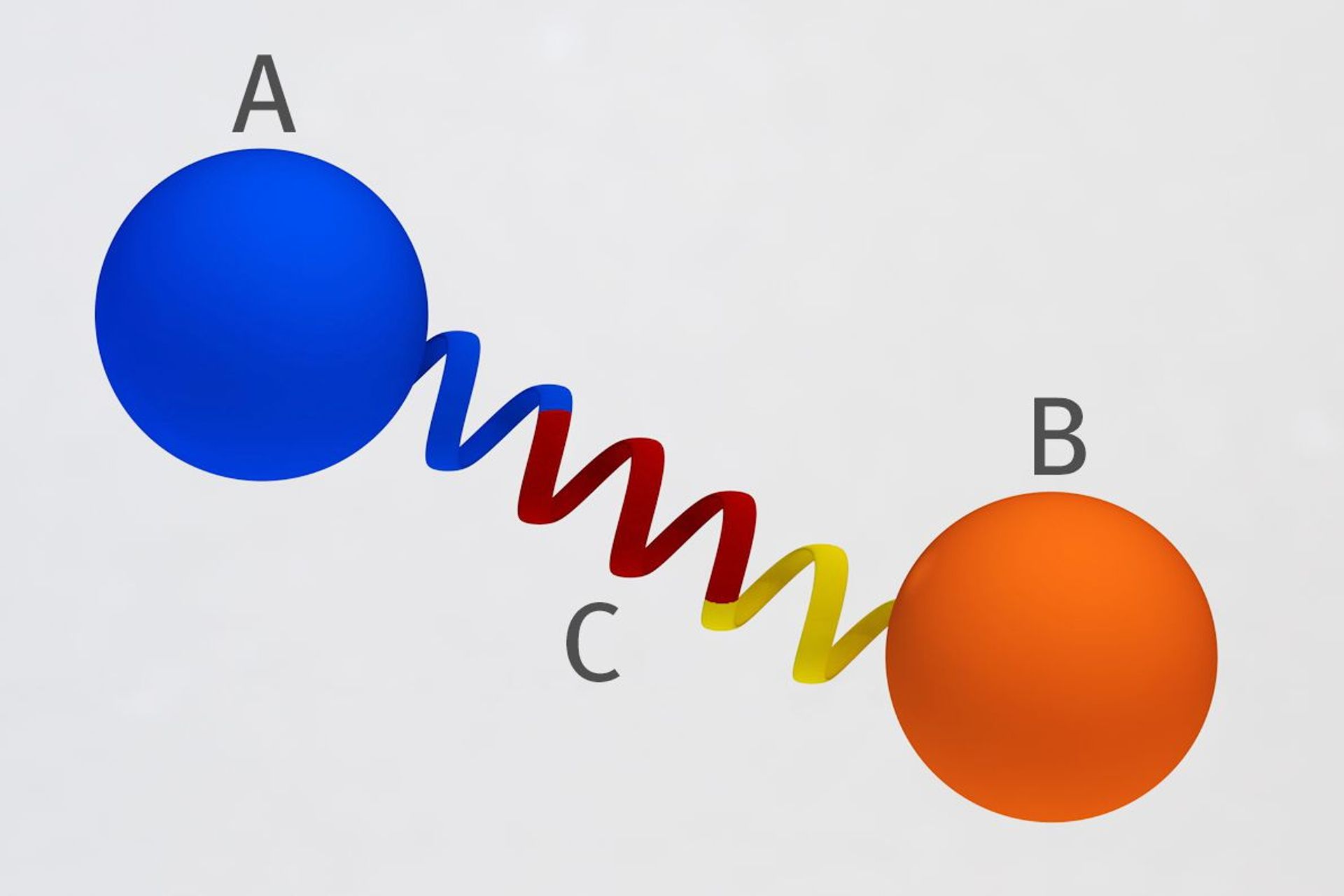 Rendering del principio del ponte proteico sviluppato al PSI in Svizzera: due proteine (A e B) sono collegate l'una all'altra a una distanza e un angolo fissi, per mezzo di una spirale proteica rigida, in maniera che non possano avvicinarsi e non possano interagire (Grafica: Mahir Dzambegovic/Istituto Paul Scherrer)
