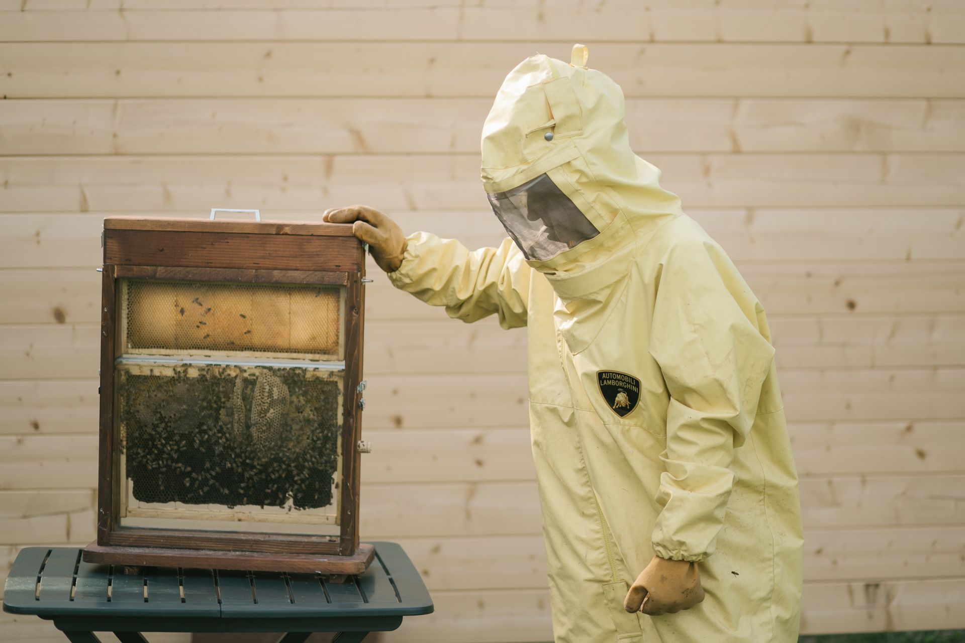 Un opérateur Lamborghini aux prises avec une ruche de la ruche technologique de Sant'Agata Bolognese avec douze ruches et une population d'environ 600.000 XNUMX insectes