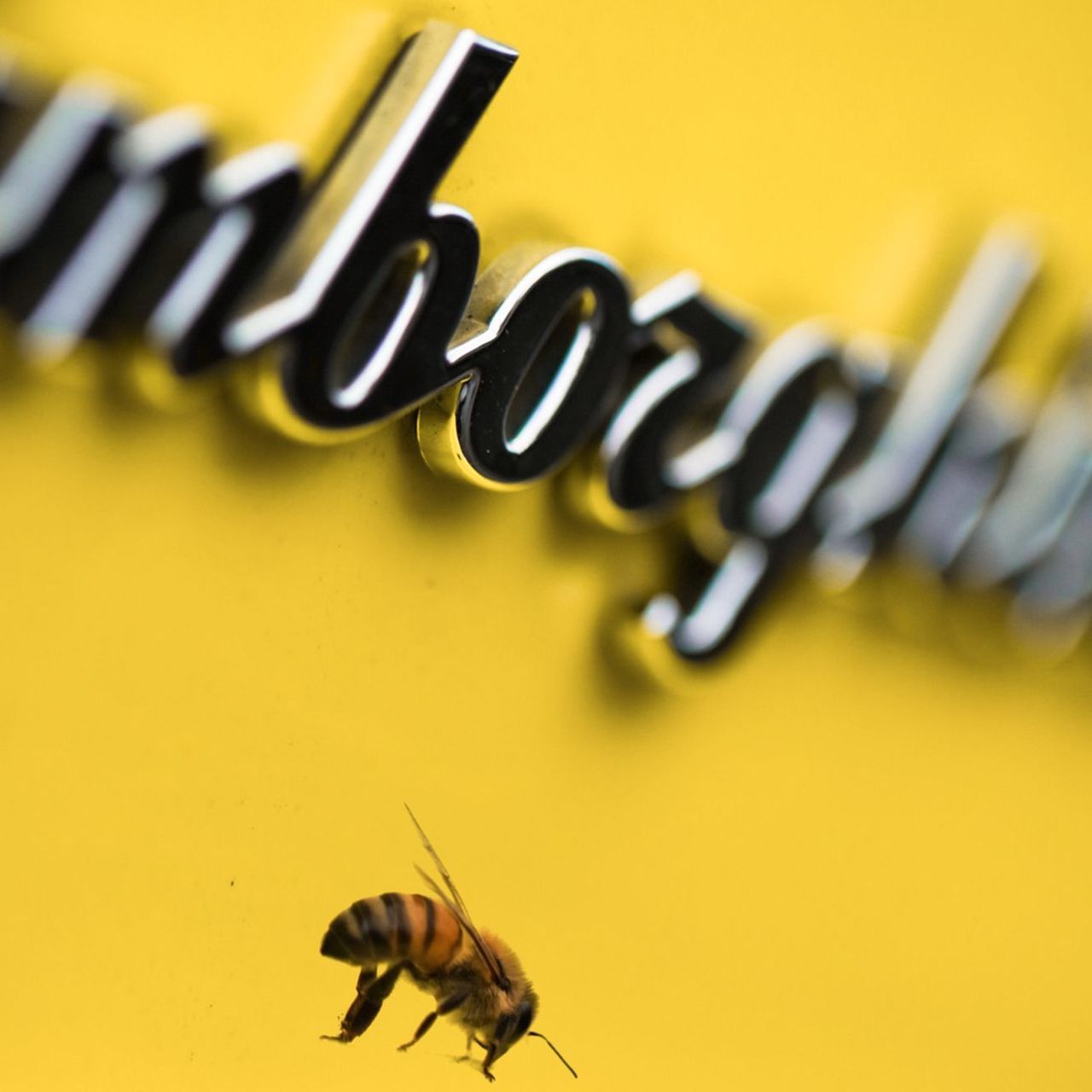 Un’ape accanto alla scritta stilizzata tipica delle supercar made-by-Lamborghini