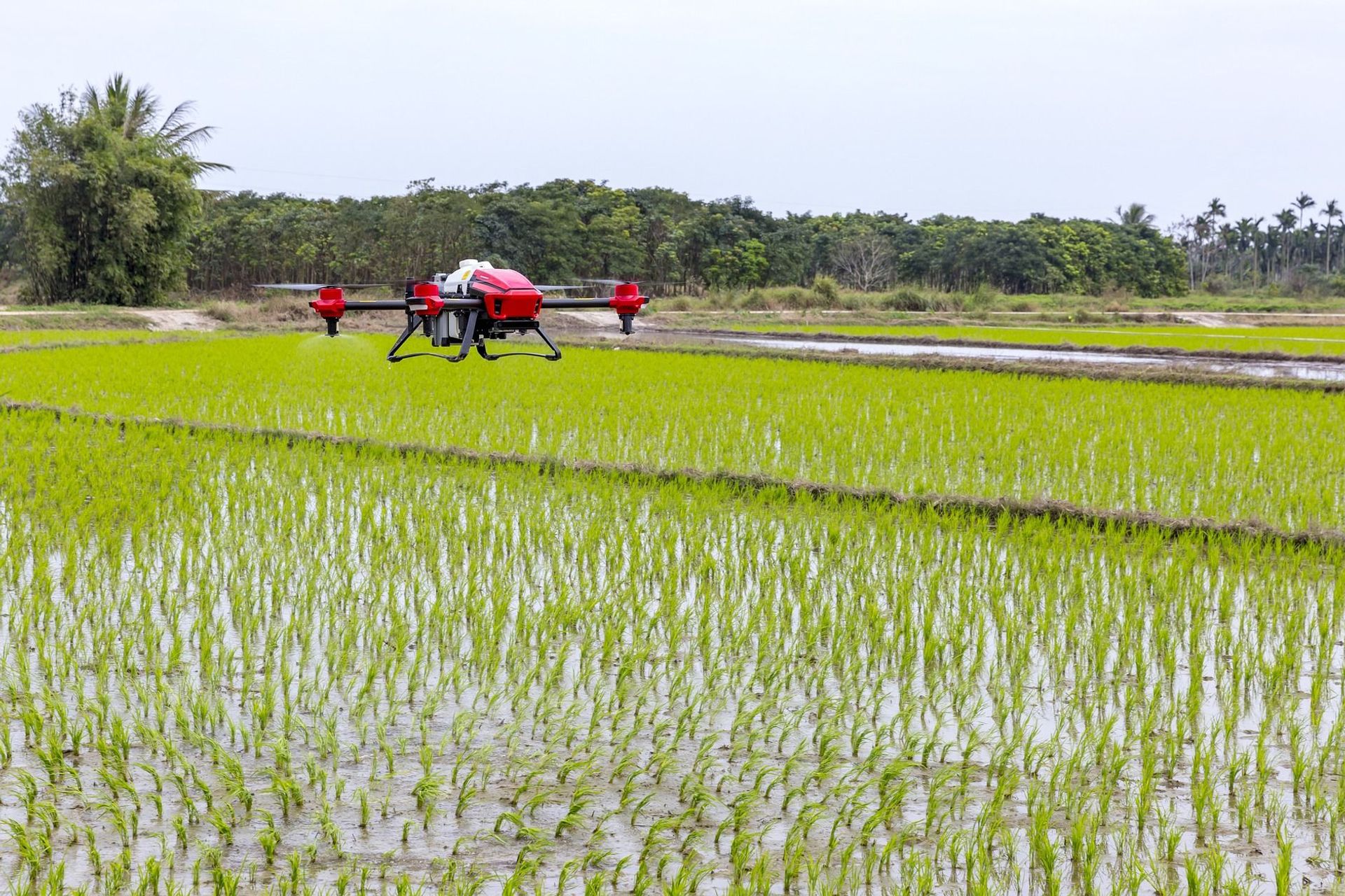 La protezione di una coltivazione agricola attuata per mezzo di un drone