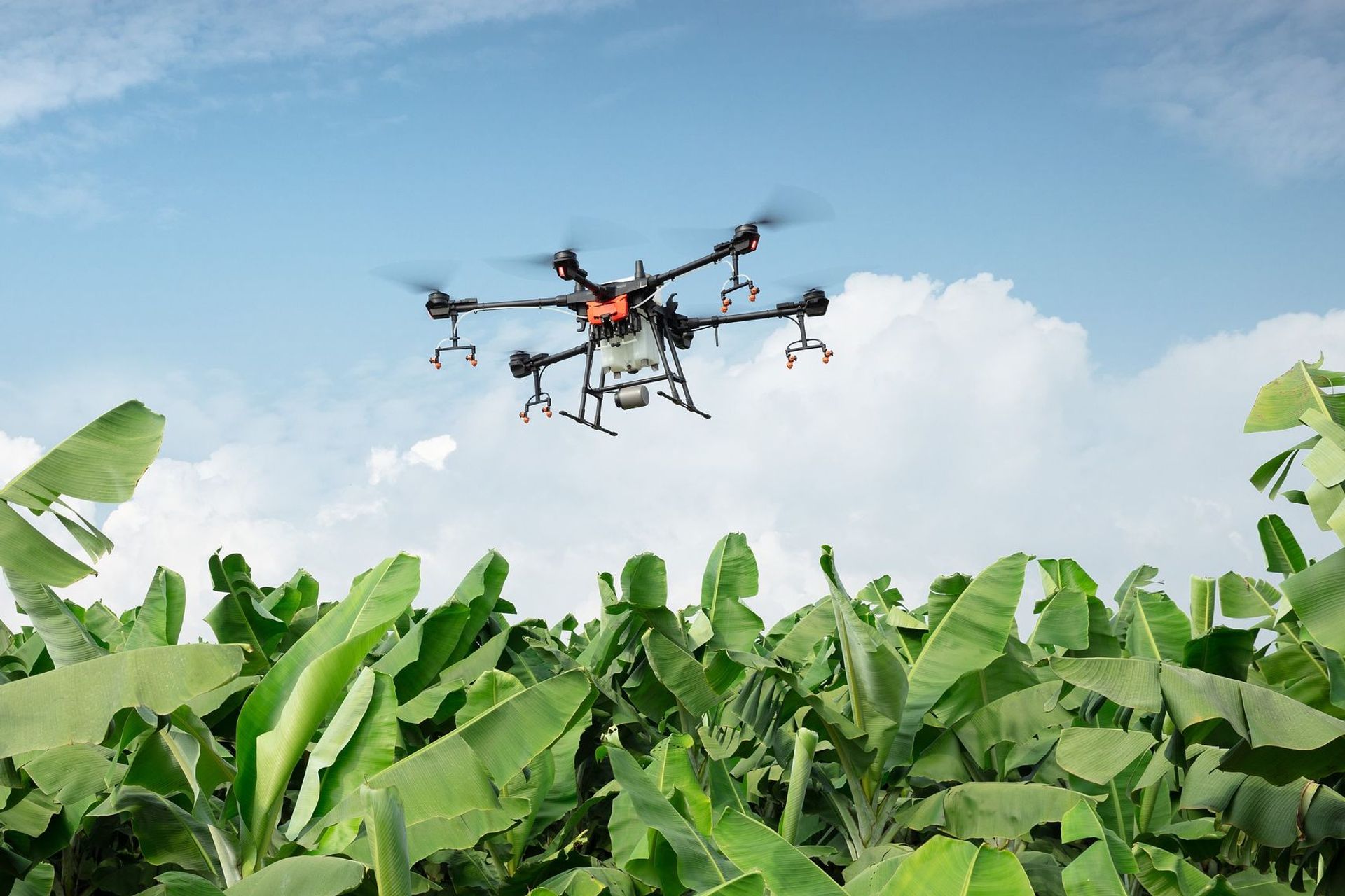 La protezione di una coltivazione agricola attuata per mezzo di un drone