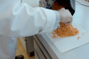 Il processo di trasformazione della "sansa" di carota in cellulosa fibrosa