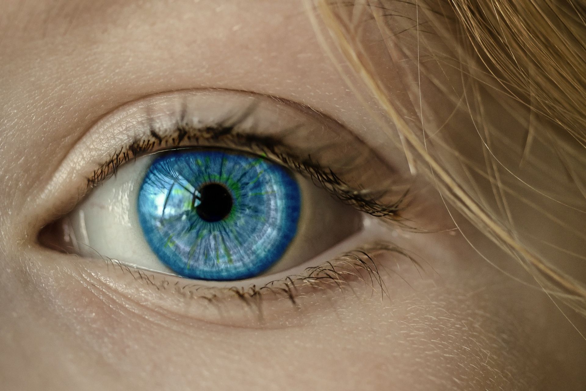 L'occhio dell’uomo raccoglie la luce che gli proviene dall'ambiente, ne regola l'intensità attraverso un diaframma (l'iride) e la focalizza attraverso un sistema regolabile di lenti per formarne un'immagine sulla retina: quest’ultima è trasformata in una serie di segnali elettrici che, attraverso il nervo ottico, sono inviati al cervello per l'elaborazione e l'interpretazione