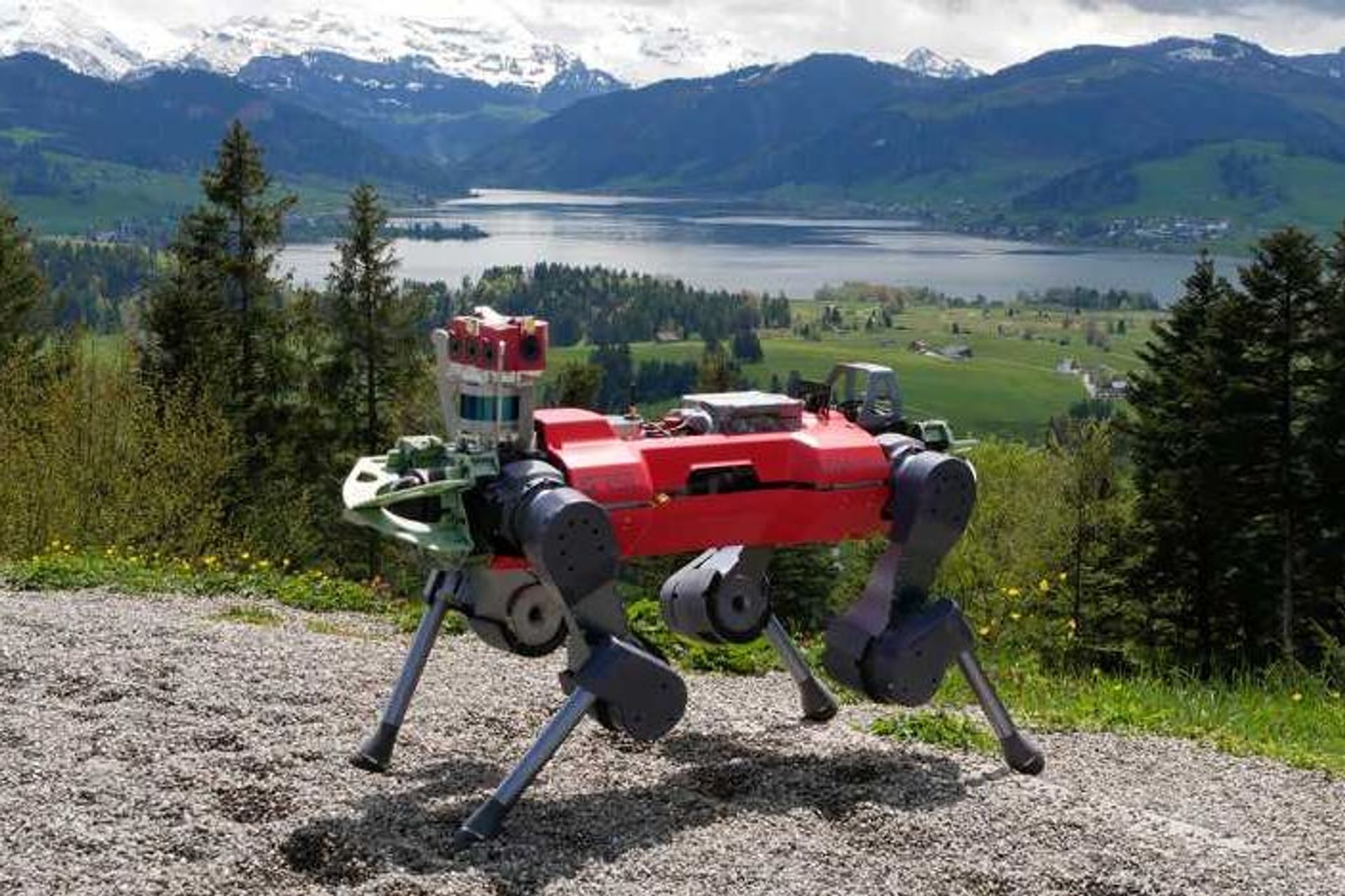 ANYmal, il robot quadrupede del Robotic Systems Lab del Politecnico di Zurigo, è in grado di percorrere velocenente e robustamente i terreni più difficili