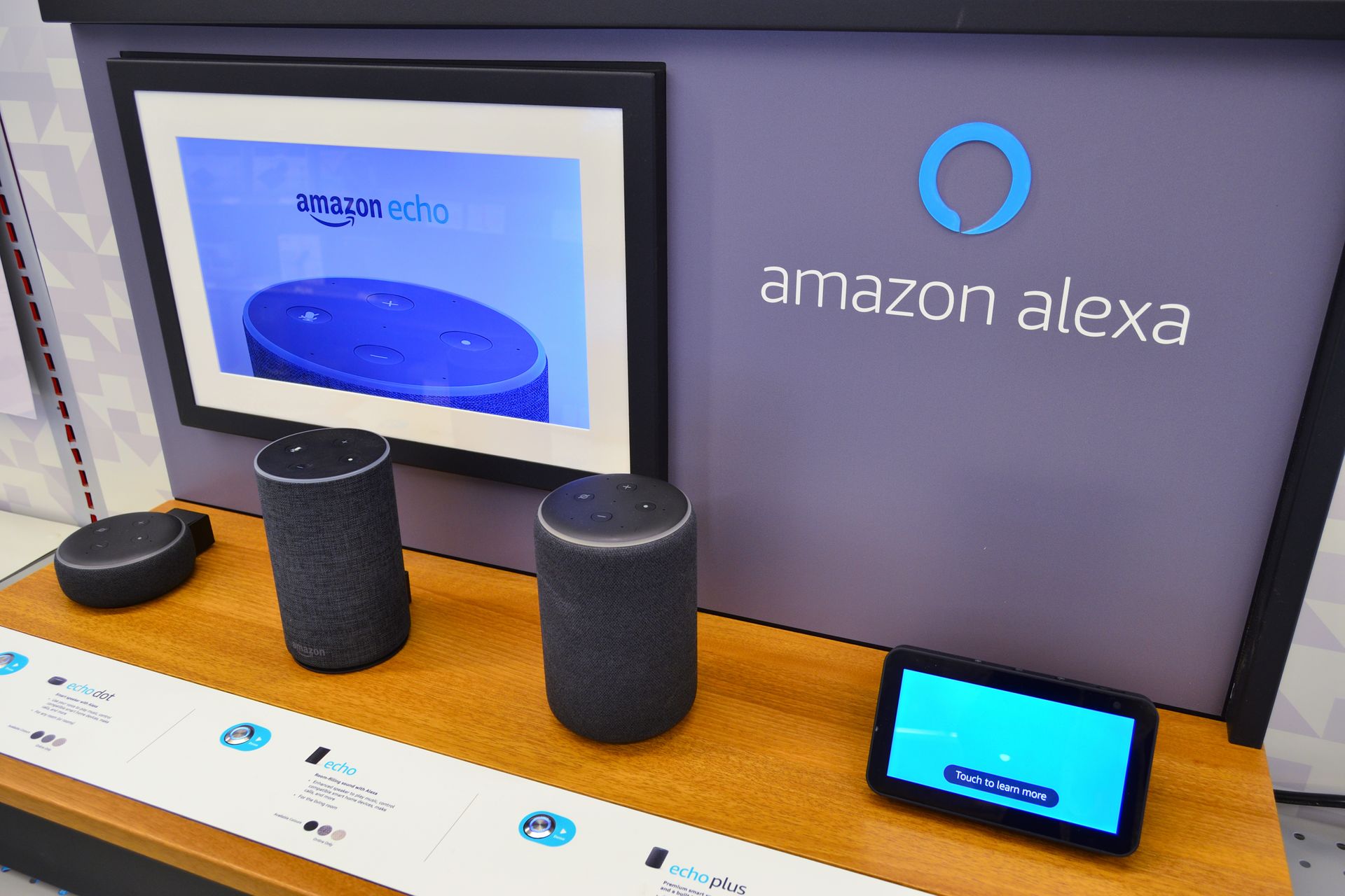 Alexa è abitualmente installata sui dispositivi Amazon Echo e Amazon Echo Dot
