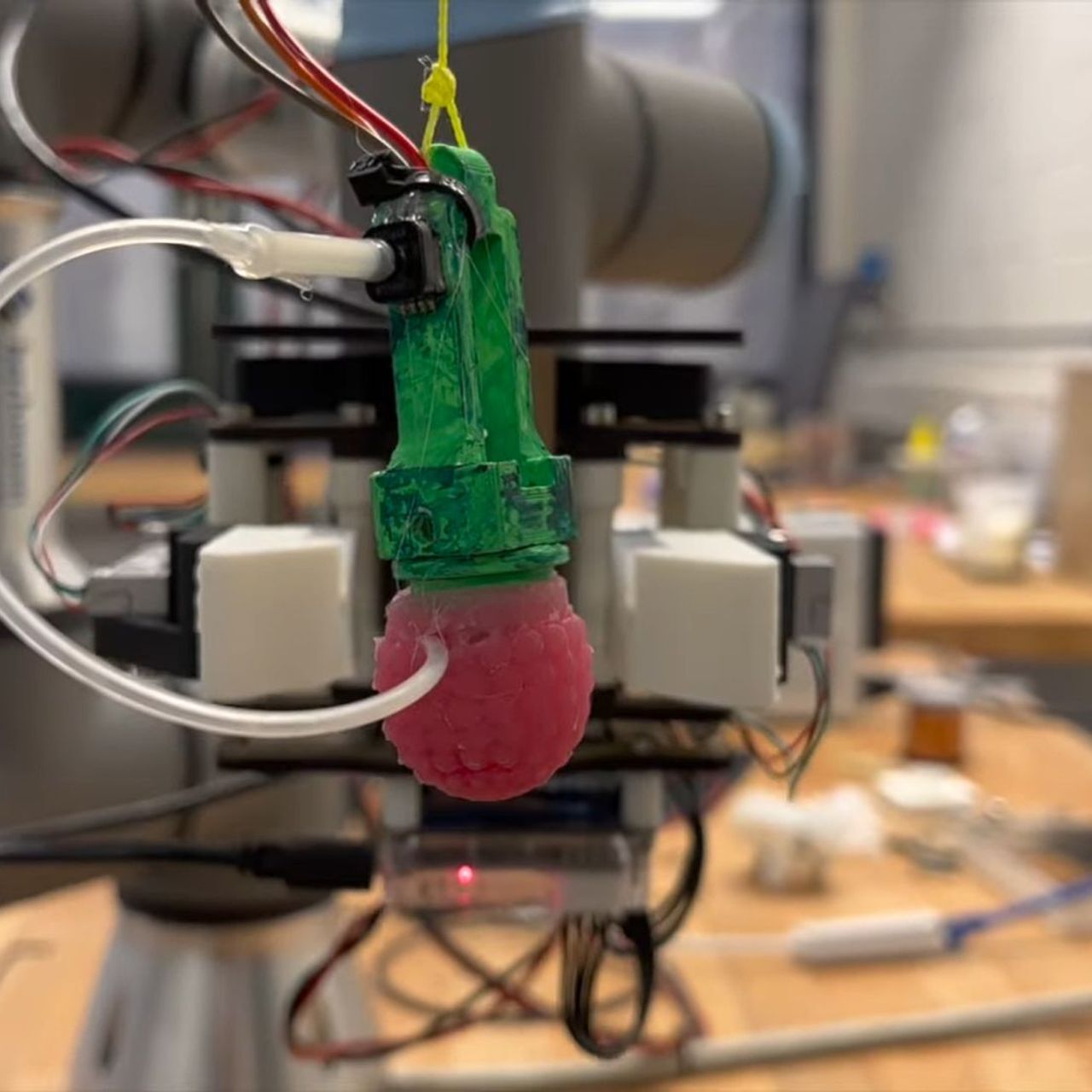 Gli ingegneri del laboratorio Computational Robot Design & Fabrication (CREATE) della Scuola Federale Politecnica di Losanna hanno realizzato un lampone “replica” in silicone allo scopo di addestrare i robot usati nella raccolta della frutta