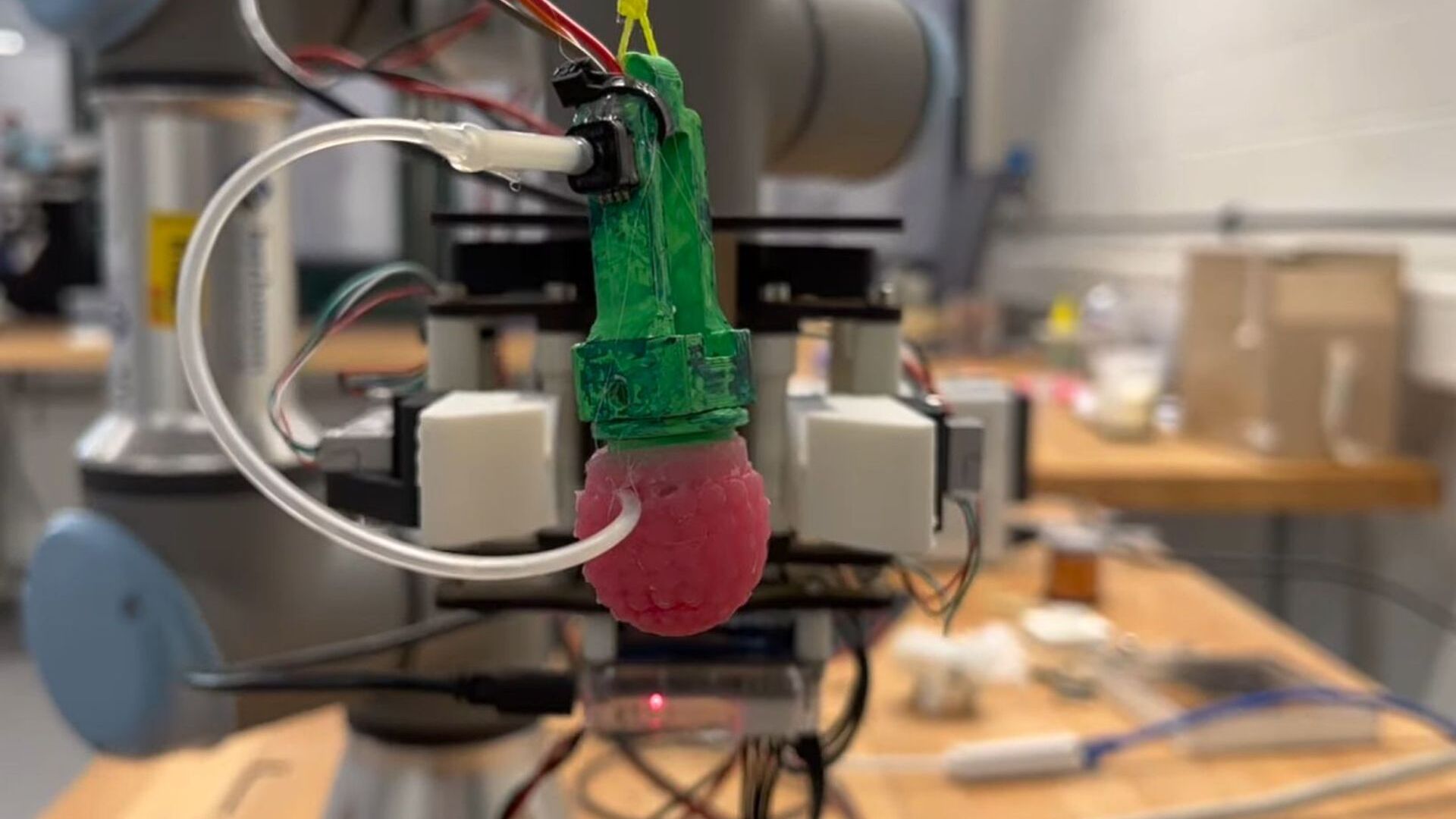 Gli ingegneri del laboratorio Computational Robot Design & Fabrication (CREATE) della Scuola Federale Politecnica di Losanna hanno realizzato un lampone “replica” in silicone allo scopo di addestrare i robot usati nella raccolta della frutta