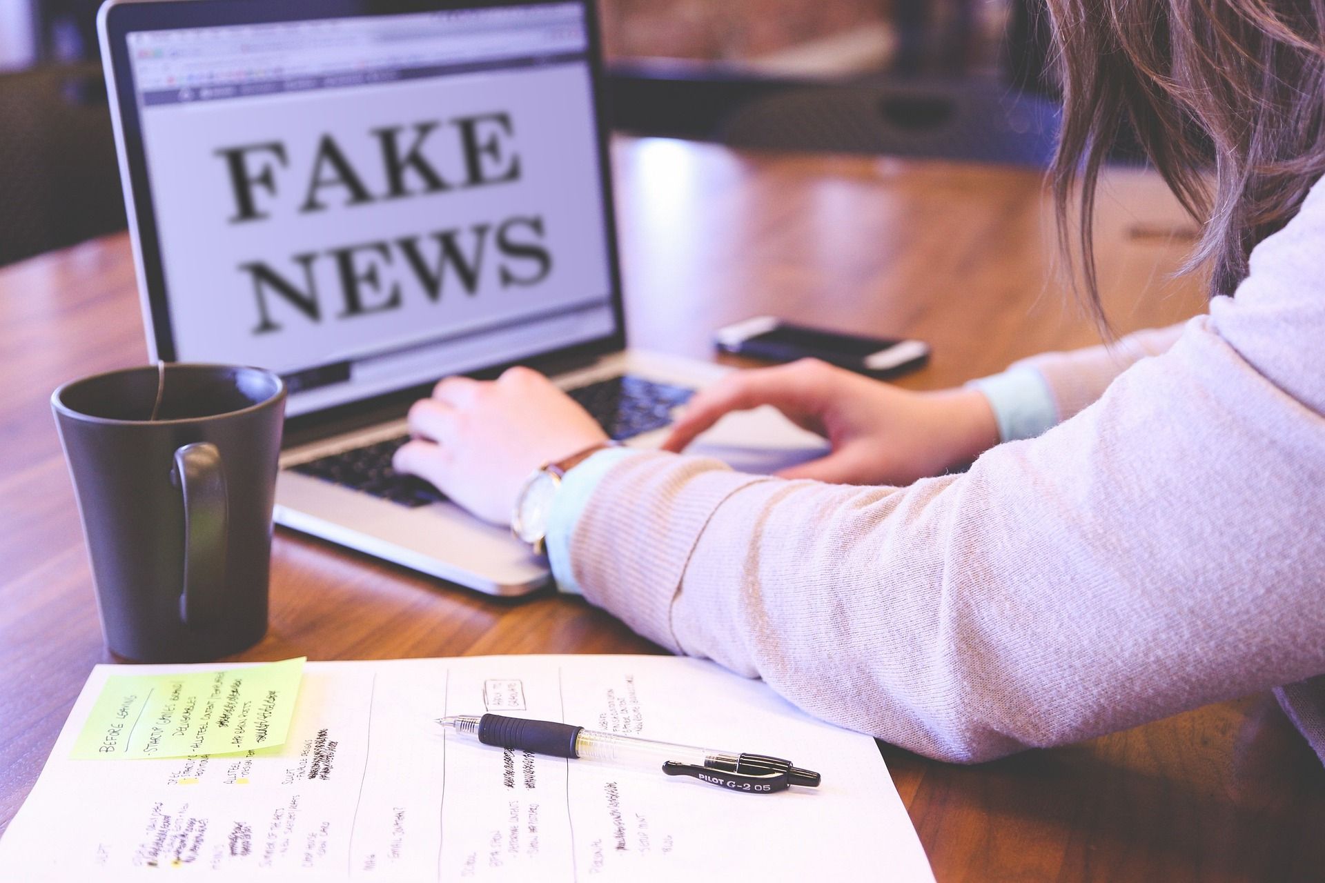 Le "fake news" o "notizie false" hanno ottenuto una notevole escalation con la trasformazione digitale e nella misura in cui i social network si sono incaricati di essere la "coscienza del mondo"