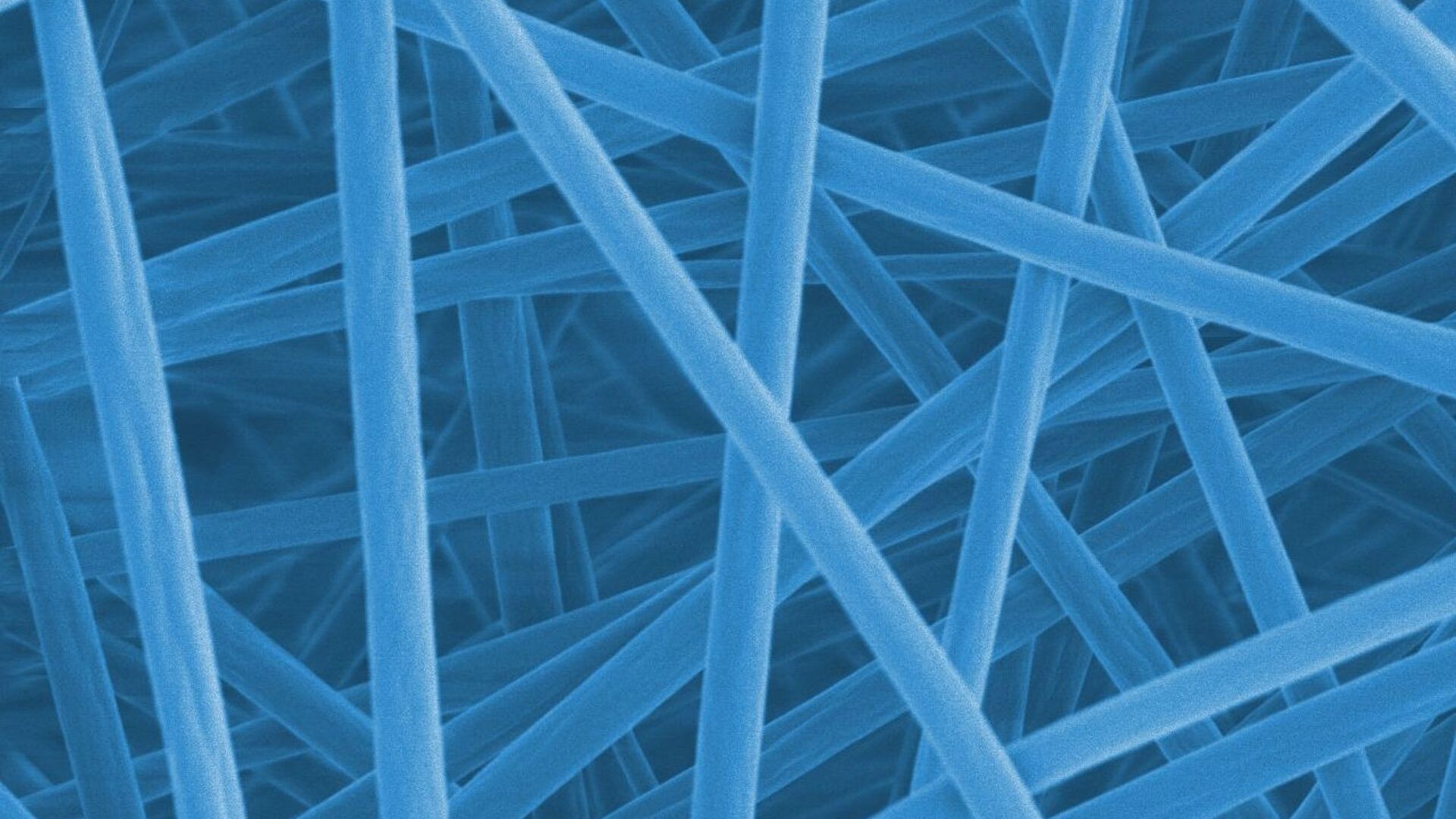 Le nanofibre sviluppate a San Gallo, ingrandite 6.000 volte e composte da una miscela di polimeri, rilasciano un agente antimicrobico quando si scaldano oltre una determinata soglia (Foto: EMPA)