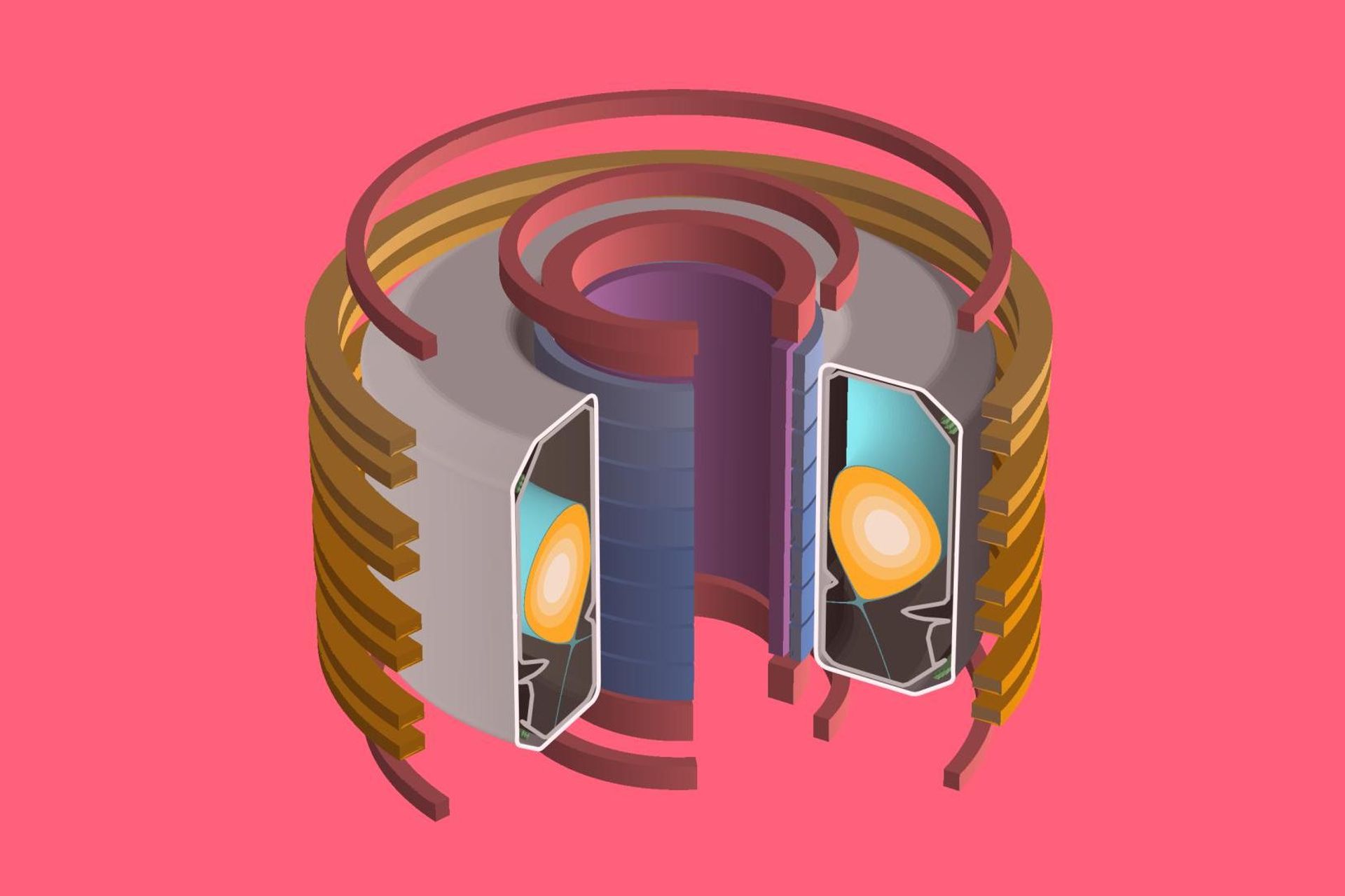 Un modello 3D del contenitore a vuoto TCV che ospita il plasma, circondato da varie bobine magnetiche per mantenere il gas ionizzato al suo posto e per influenzarne la forma (Foto: DeepMind e SPC/EPFL)