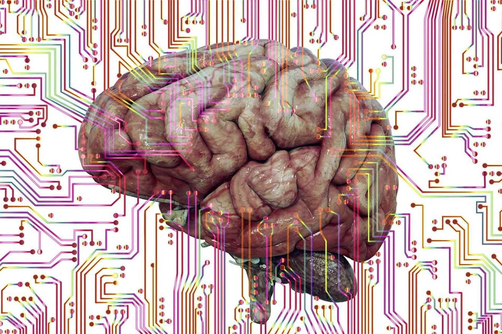 Gli algoritmi di intelligenza artificiale si basano su modelli matematici chiamati reti neurali, ispirati alla struttura biologica del cervello umano, che si compone di nodi interconnessi
