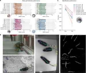 I set di dati raccolti dal Politecnico Federale di Losanna, con i colleghi del MIT e dell'Università di Harvard, per effettuare il benchmarking del software DeepLabCut di studio del comportamento animale individuale e collettivo consistevano nell’esame di tre topi in un campo aperto, topi genitori in una gabbia che funge da tana, coppie di uistitì pigmei alloggiati in un grande recinto, e quattordici pesci in un serbatoio di flusso