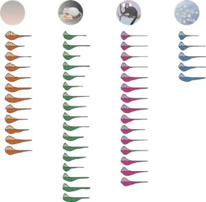 I set di dati raccolti dal Politecnico Federale di Losanna, con i colleghi del MIT e dell'Università di Harvard, per effettuare il benchmarking del software DeepLabCut di studio del comportamento animale individuale e collettivo consistevano nell’esame di tre topi in un campo aperto, topi genitori in una gabbia che funge da tana, coppie di uistitì pigmei alloggiati in un grande recinto, e quattordici pesci in un serbatoio di flusso