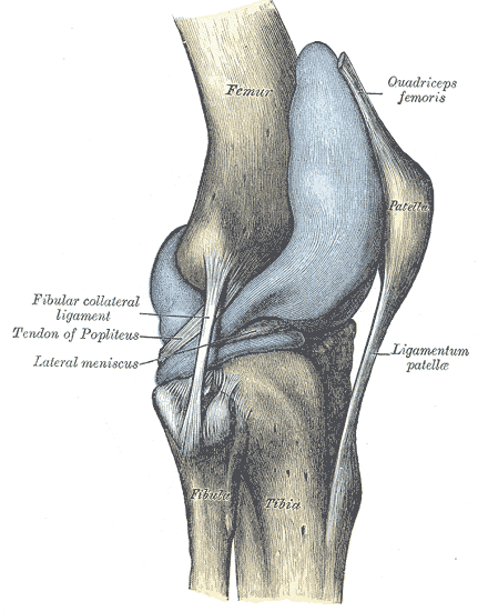 Vista laterale del ginocchio destro
