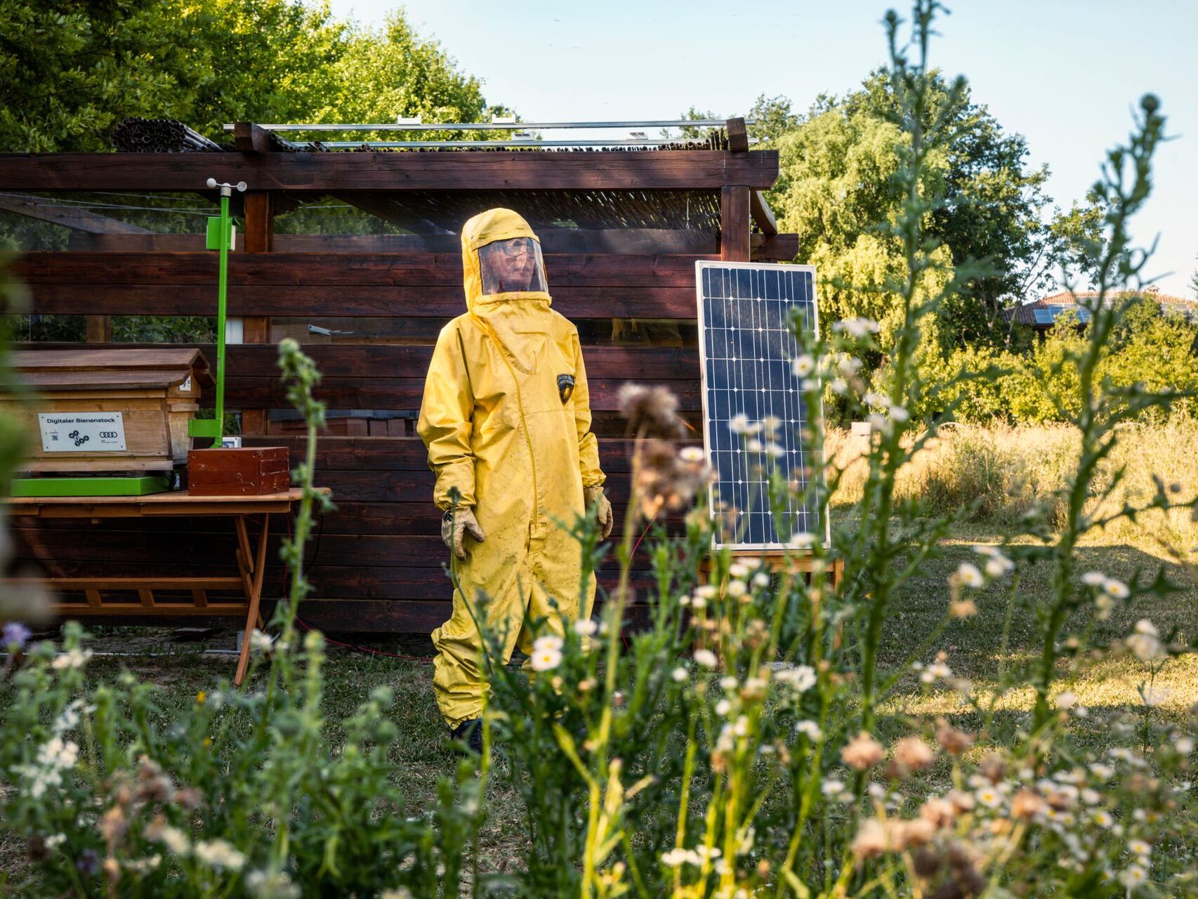 兰博基尼汽车技术蜂巢配备 600.000 个蜂巢和约 XNUMX 只蜜蜂，是监测工厂周围生态系统不可或缺的工具