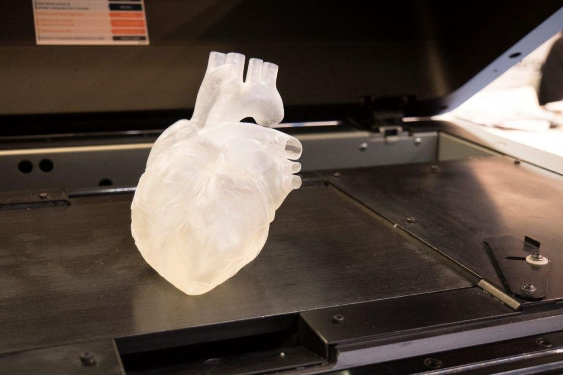 Un cuore artificiale mostrato nel corso dell'edizione 2021 di "Innovabiomerd"