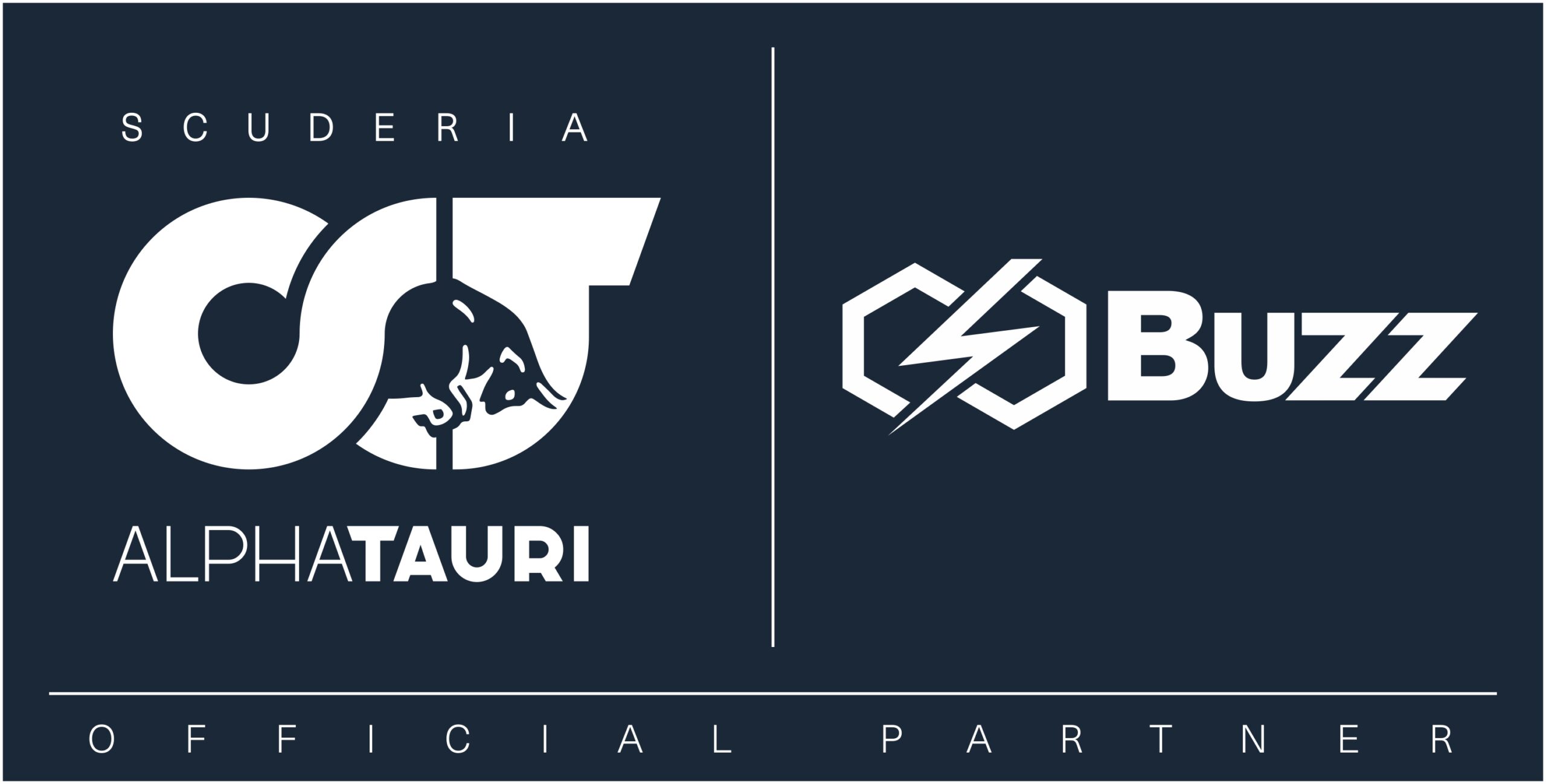 I logotipi affiancati della Scuderia Alpha Tauri e del Buzz Group