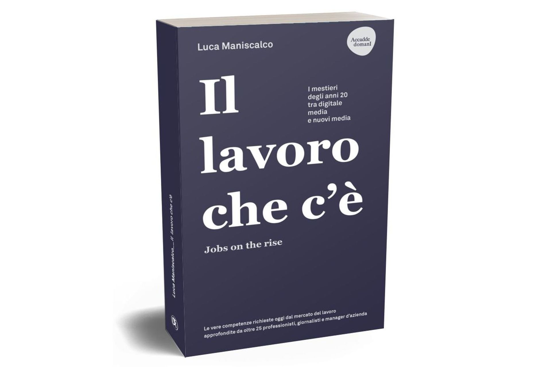 La copertina del libro “Il lavoro che c’è. Jobs on the rise” di Luca Maniscalco, edito dalla Dario Flaccovio Editore