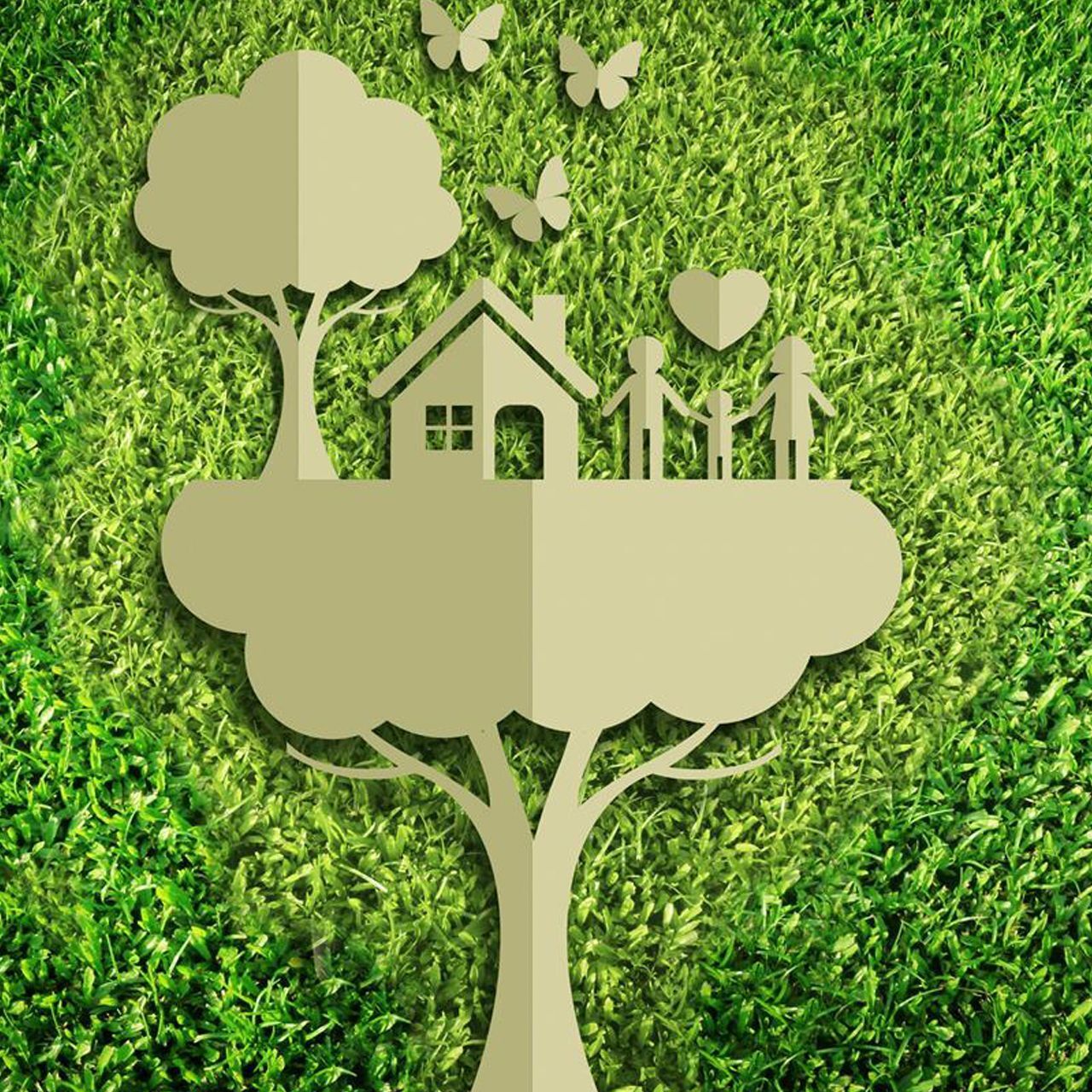 La transizione ecologica è perseguibile a piccoli passi e con la collaborazione di tutti per progredire verso un’economia “green” e per lasciarsi la vecchia società consumistica e sfruttatrice