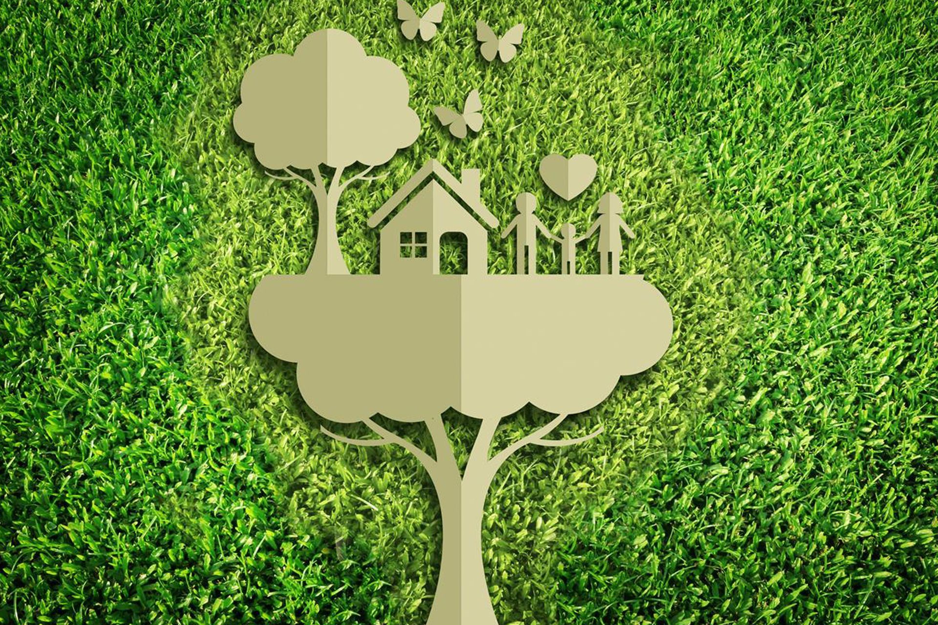 Den ekologiska omställningen kan genomföras i små steg och med allas samarbete för att utvecklas mot en "grön" ekonomi och lämna det gamla konsumtions- och exploaterande samhället bakom sig.