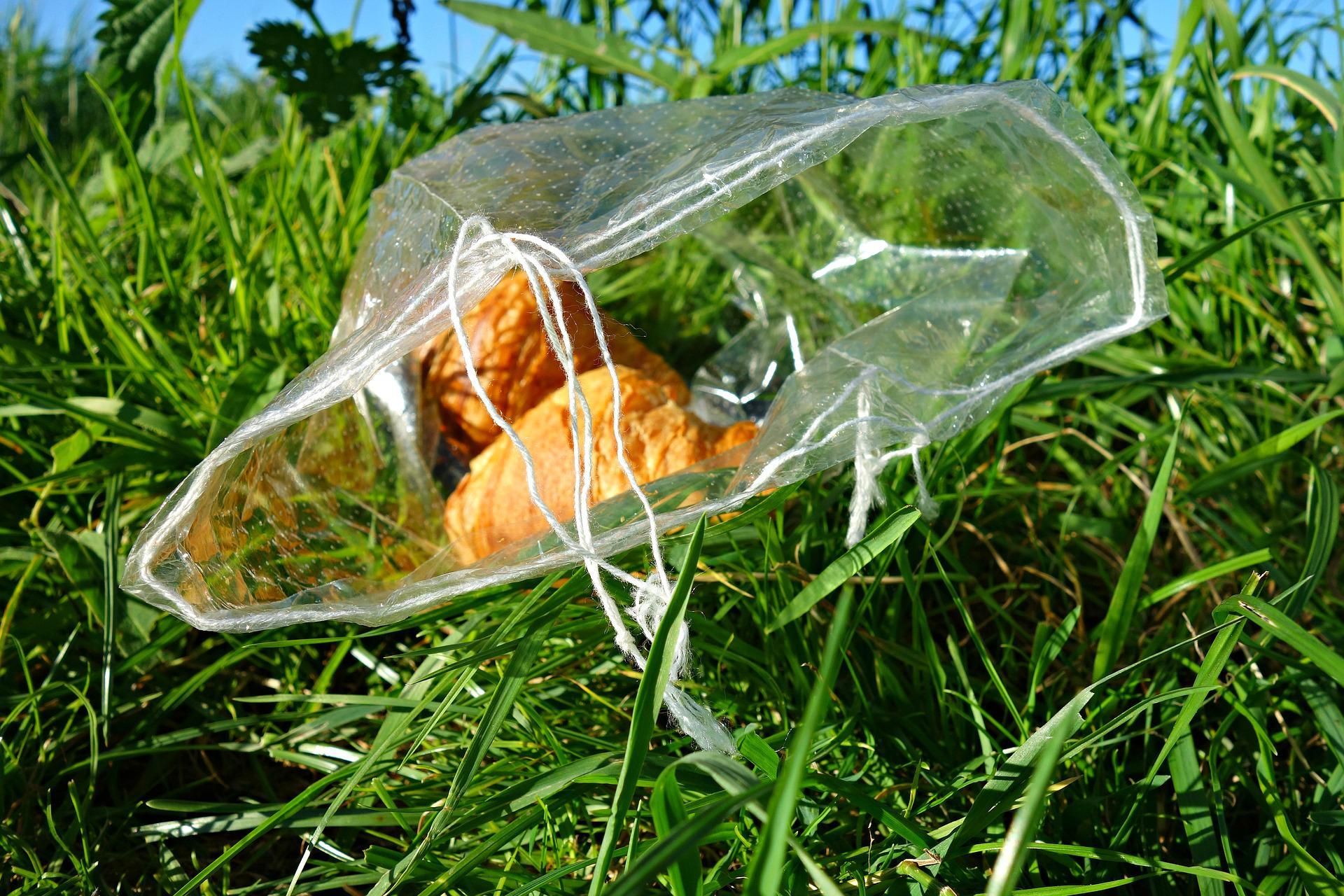 Croissant abbandonati in un sacchetto nell'erba