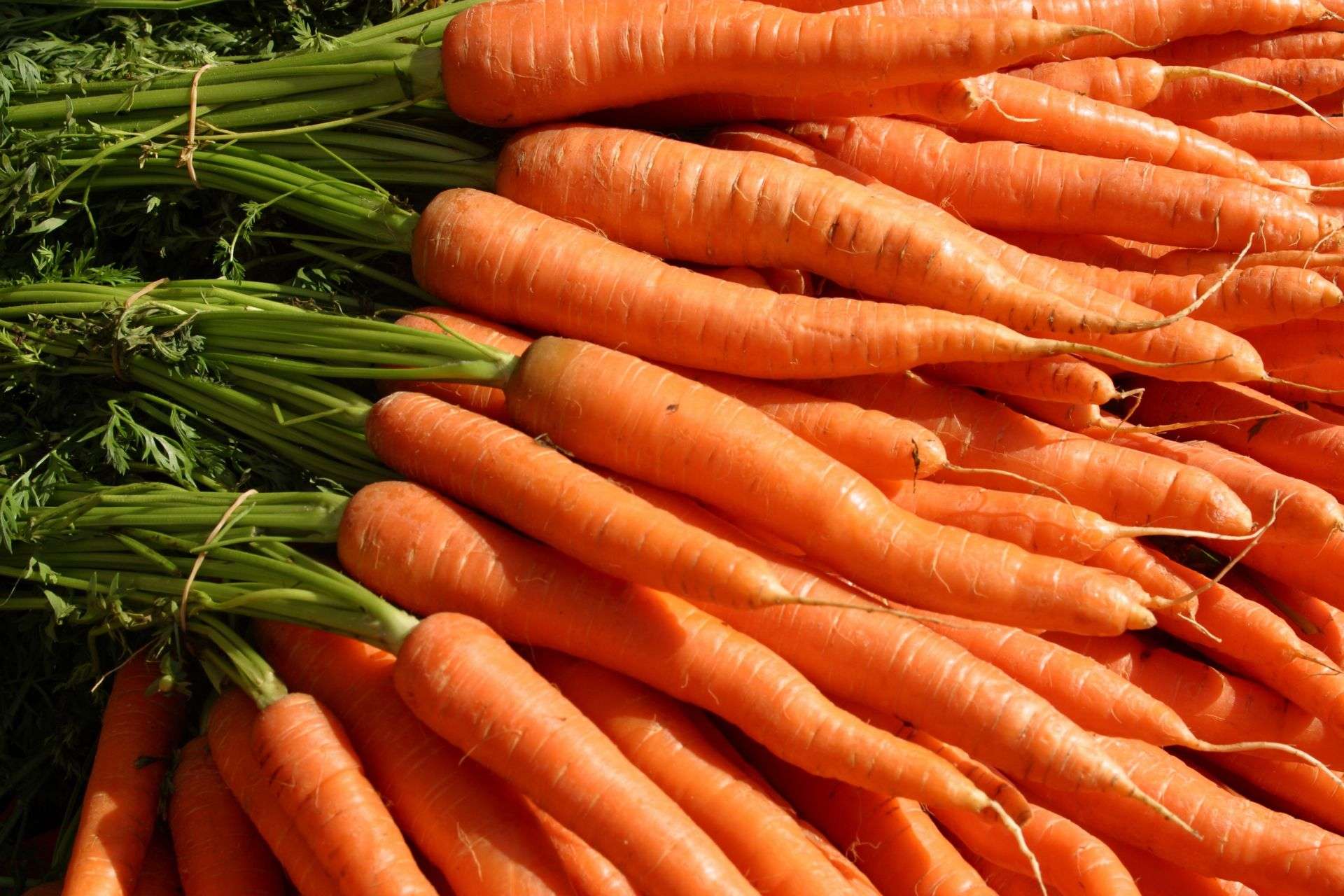 Per chi soffre di diarrea è consigliato il consumo di carote