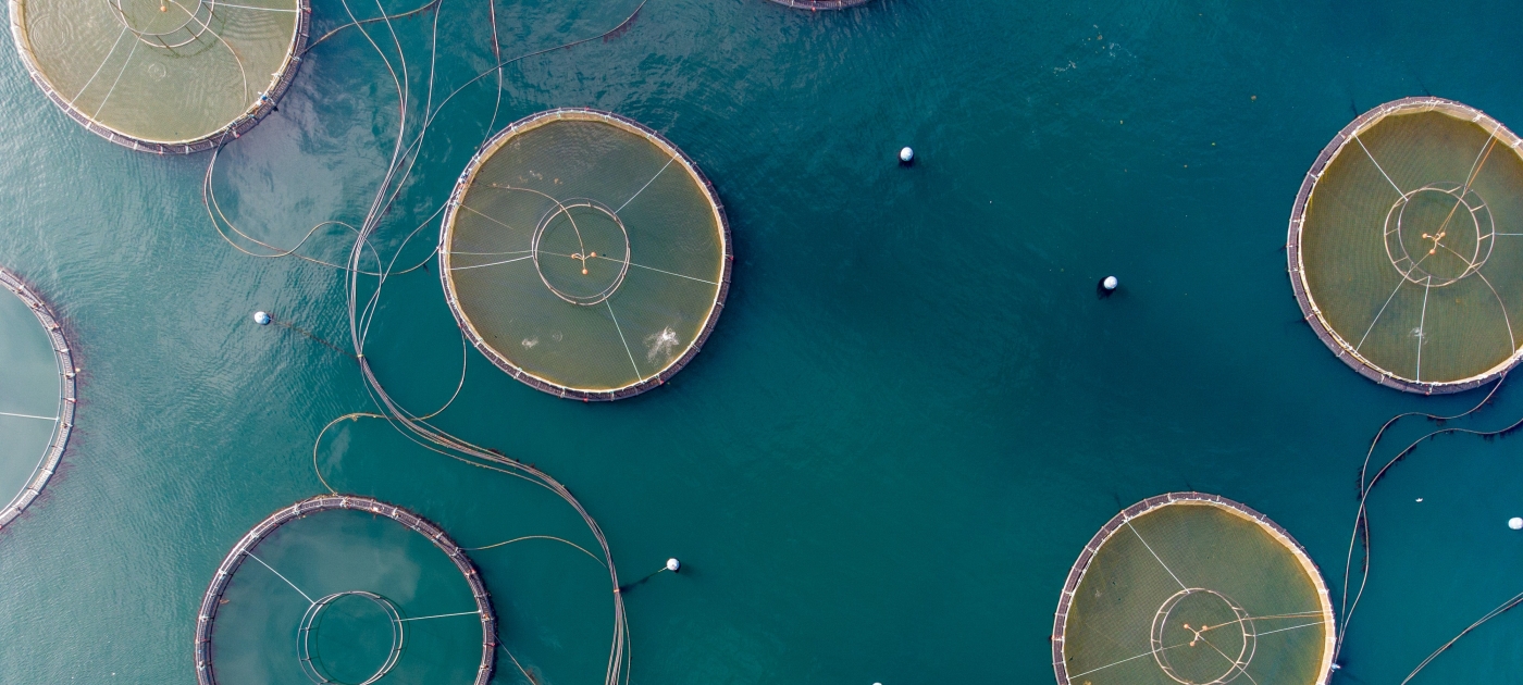 Innovative aquaculture establishments of the Republic of Palau
