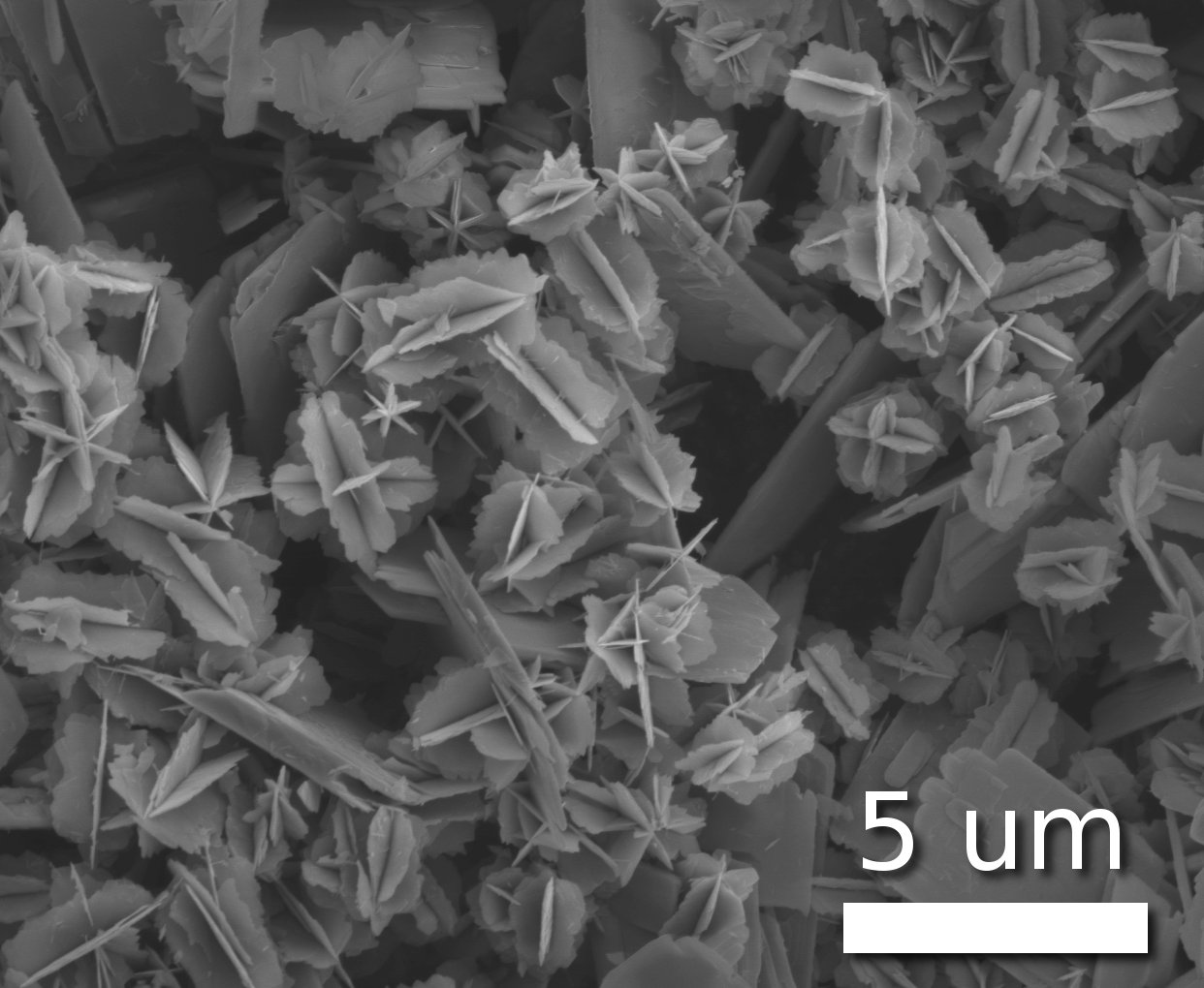 Un'immagine ingrandita di "nanostelle" di Biossido di Vanadio o VO2