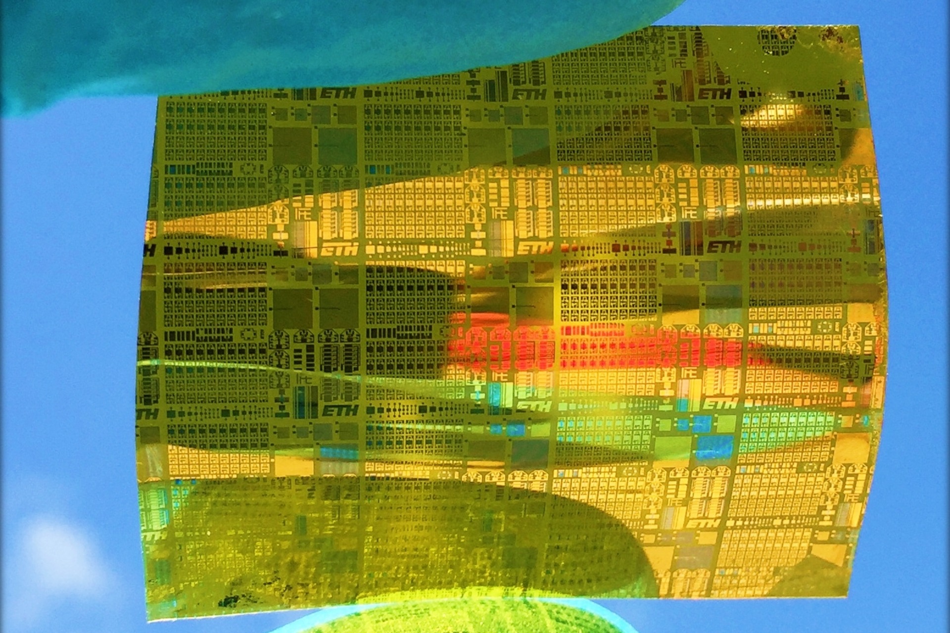 Circuiti elettronici su una pellicola di poliimmide realizzati dai laboratori dell’EMPA e capaci di formare transistor sinaptici (Foto: EMPA)