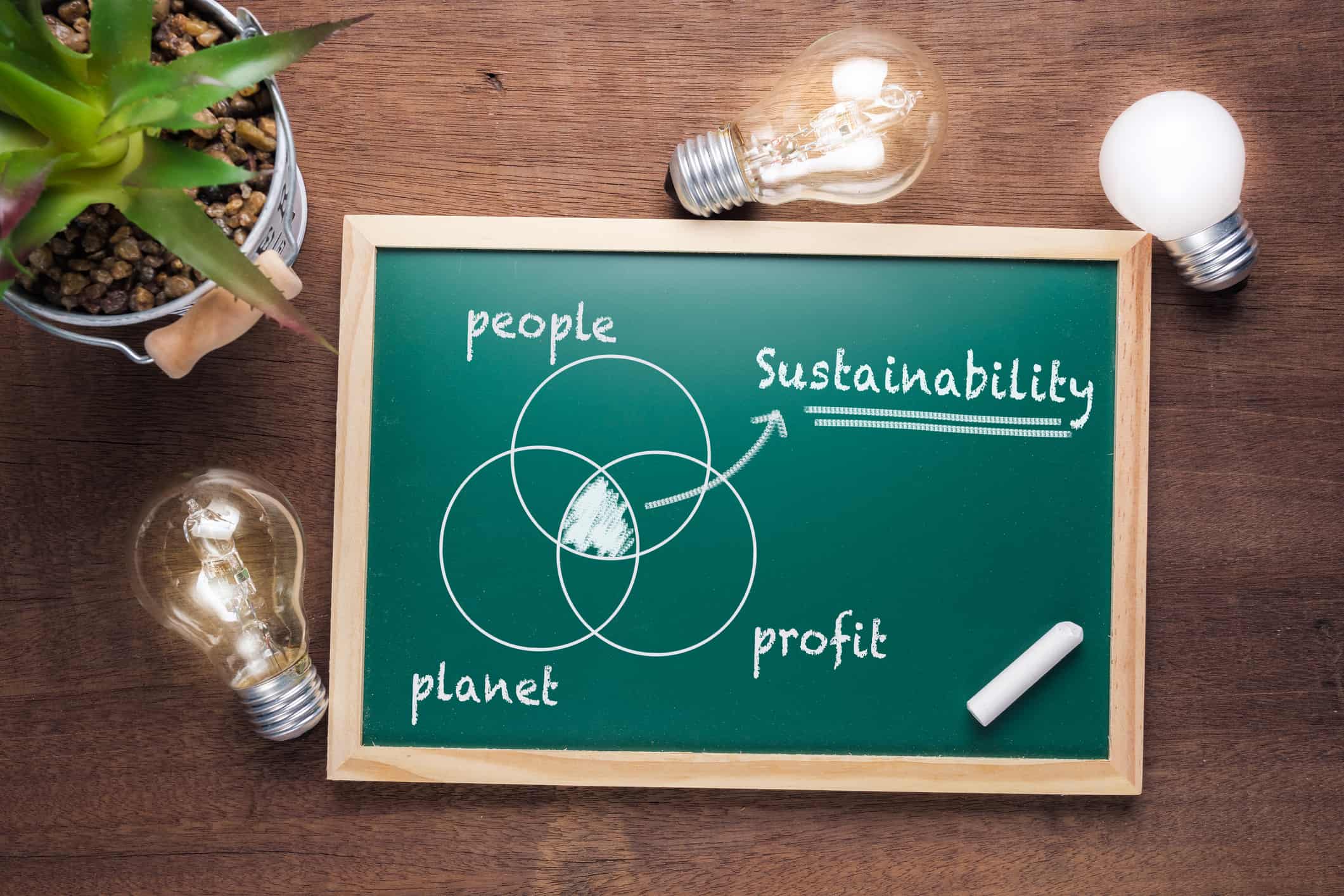 Yvon Chouinard ha elevato il concetto della Responsabilità Sociale e di Impresa a un nuovo livello: nella sua azienda il profitto coincide con la tutela dell'ambiente - Foto iStock