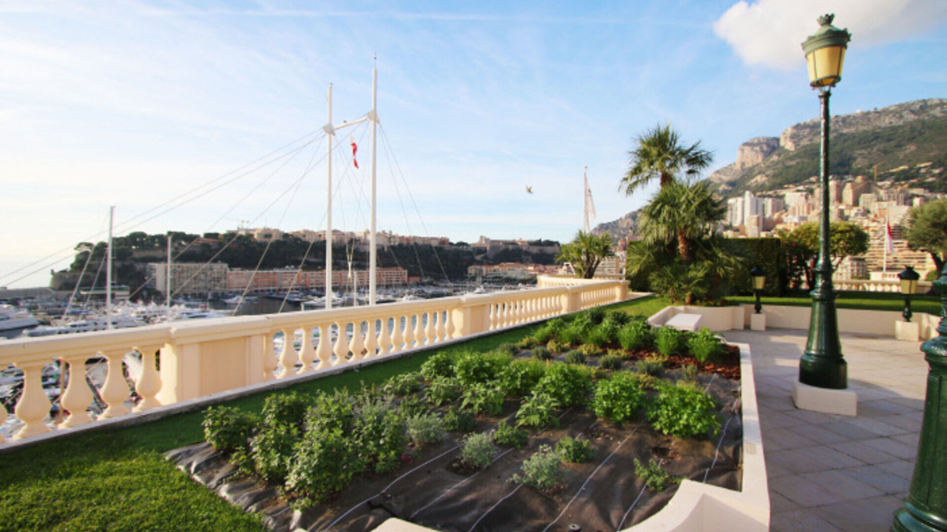 La Société des Bains de Mer persegue obiettivi “green” con orti a km zero a Monte-Carlo