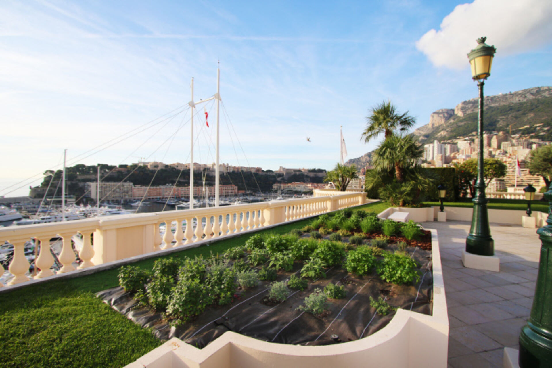 Société des Bains de Mer forfølger "grønne" mål med null km grønnsakshager i Monte-Carlo