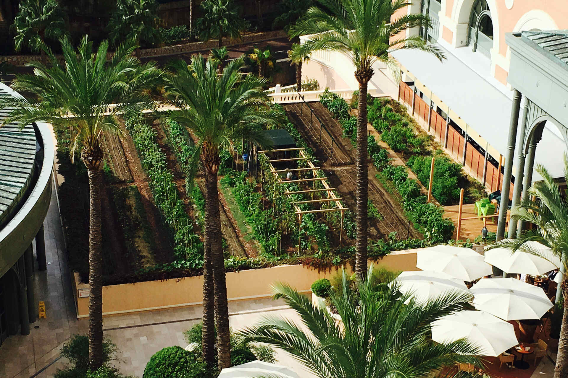 Société des Bains de Mer forfølger "grønne" mål med null km grønnsakshager i Monte-Carlo