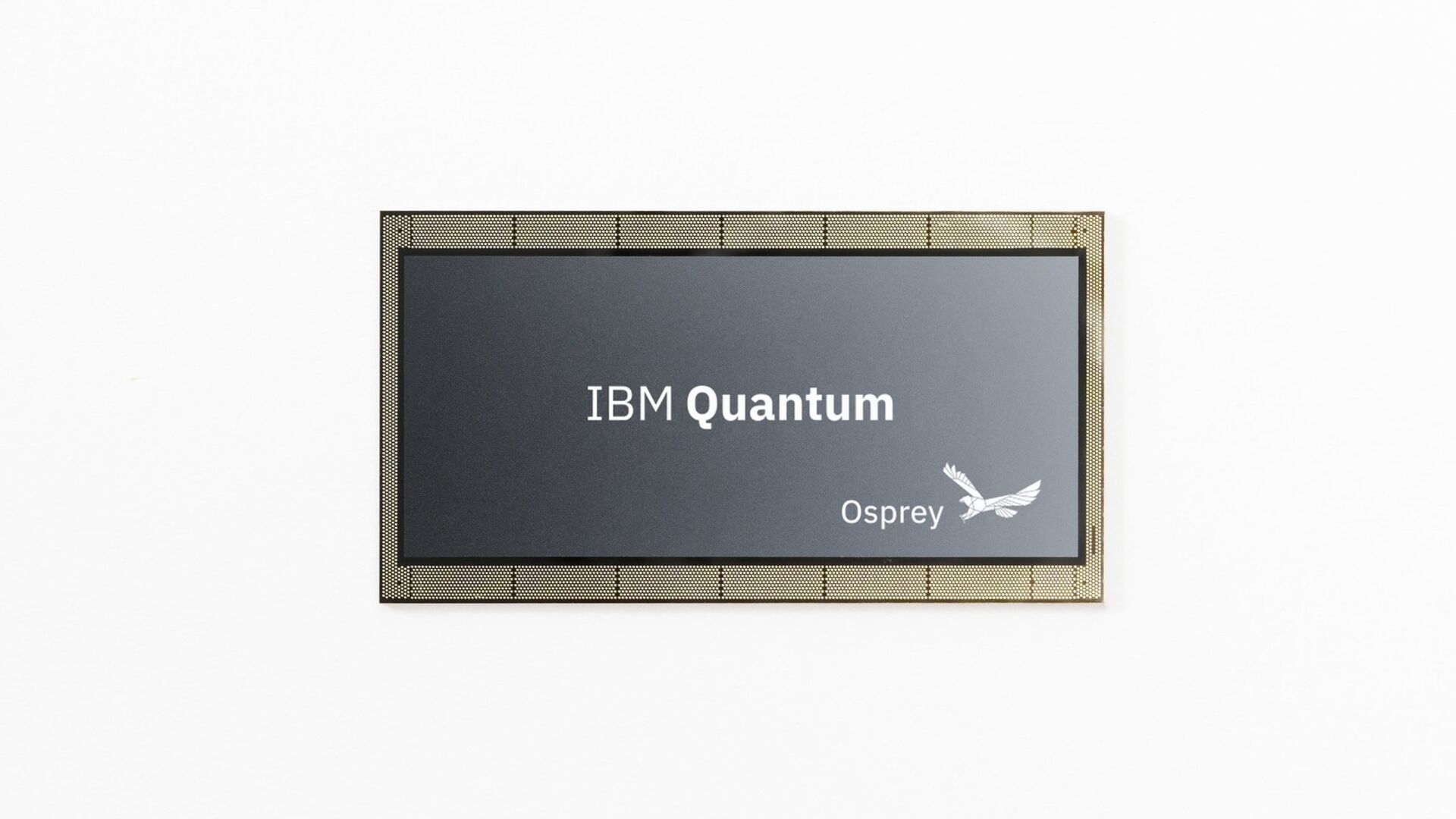 433 क्यूबिट आईबीएम "ऑस्प्रे" क्वांटम प्रोसेसर की प्रस्तुति