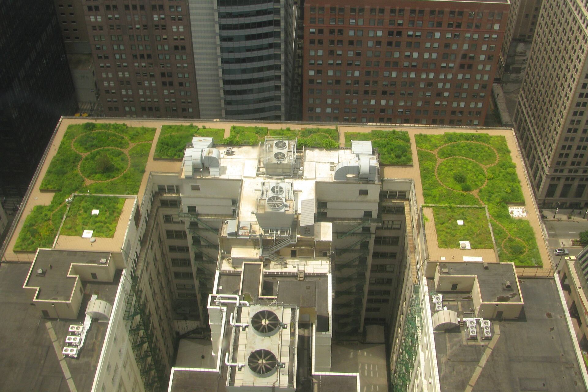 Кровна градина на покривот на Градското собрание во Чикаго во САД