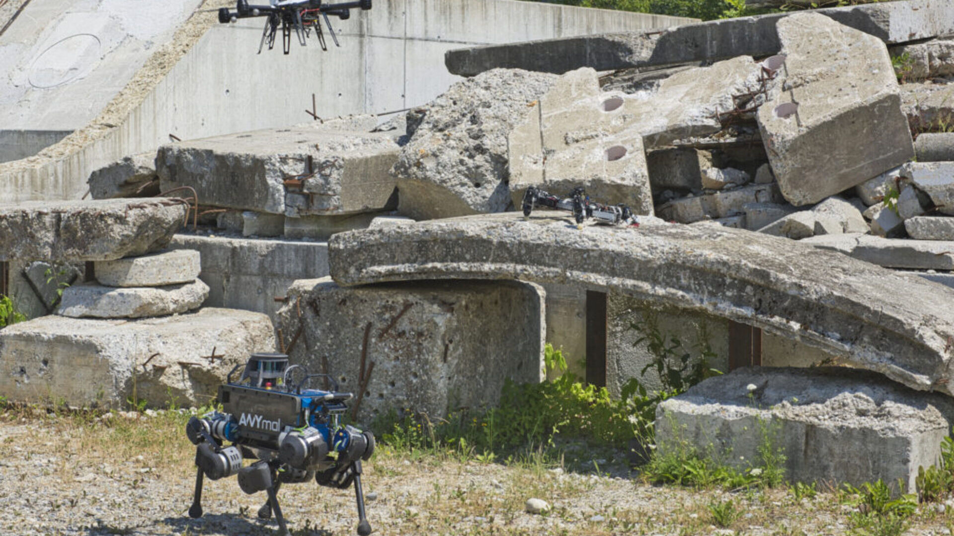 Robotica: collaborazione fra robot e droni in Svizzera