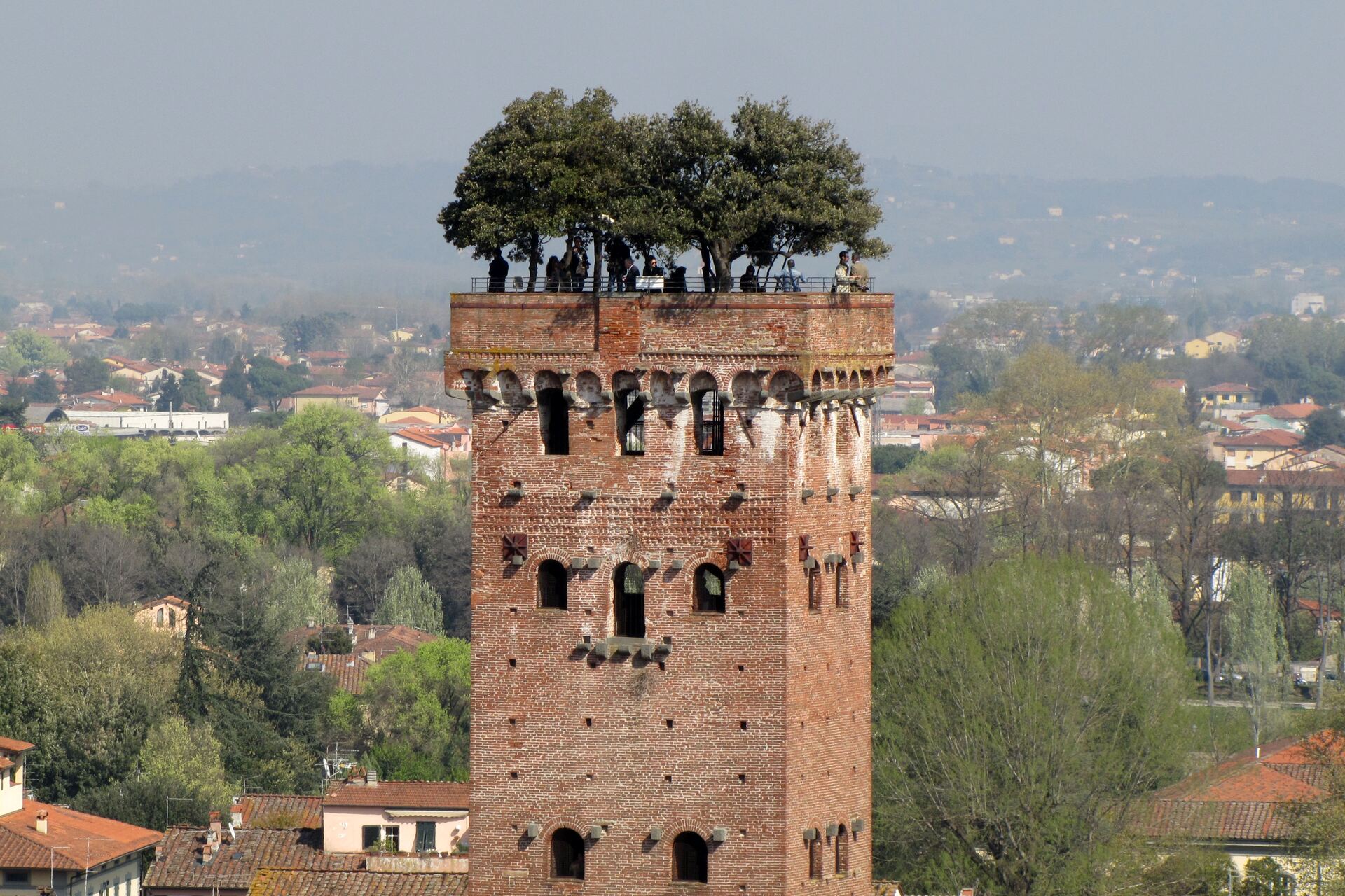 Bosco Verticale: La torre Guinigi di Lucca, con i suoi alberi di leccio sulla sommità, fu un vero e proprio precursore