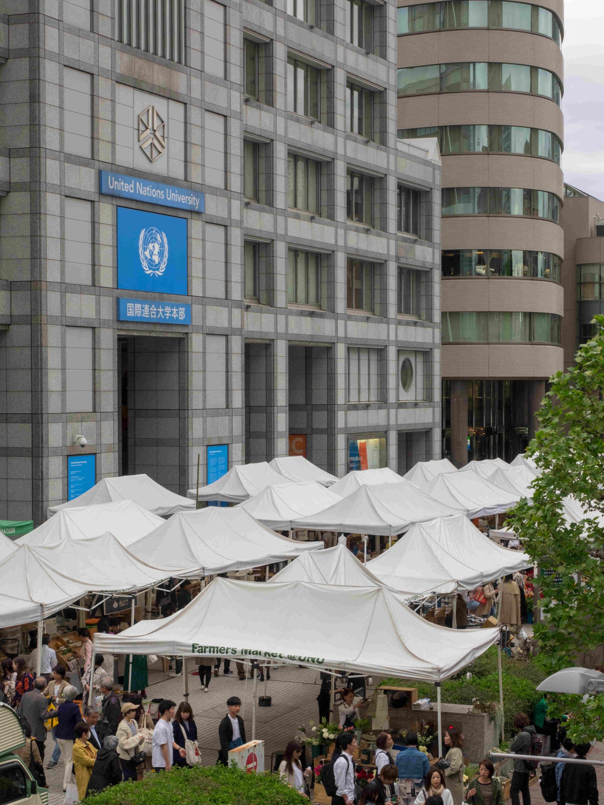Università ONU: la sede centrale dell'Università dell'Organizzazione delle Nazioni Unite a Tokyo in Giappone