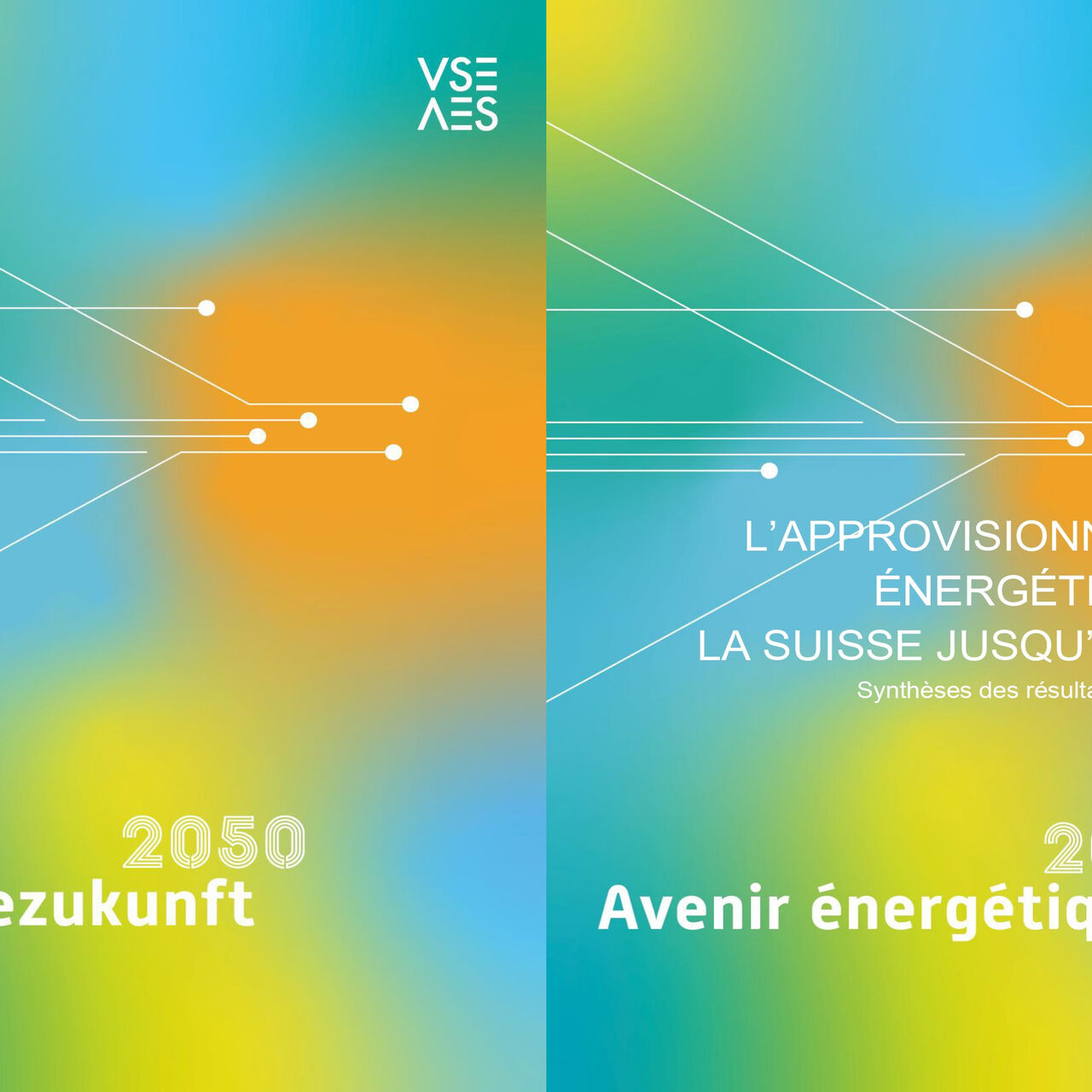 Energy Future 2050: le copertine affiancate del modello scientifico “Energy Future 2050” realizzato in Svizzera da EMPA e VSE/AES (in lingua francese e tedesca)