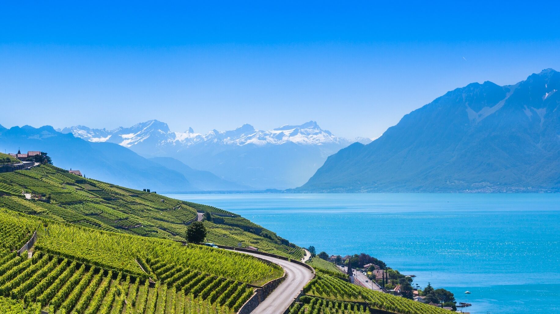 Rispetto dei suoli: terrazzamenti per vigneti in Svizzera nella regione di Lavaux nel Canton Vaud