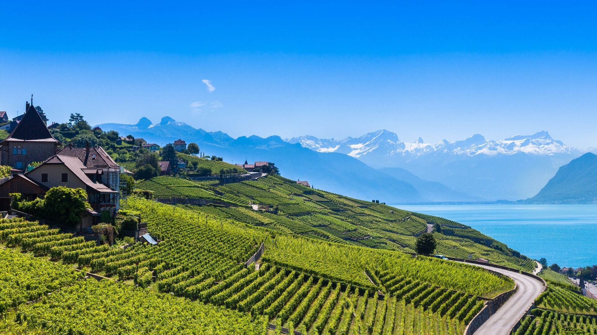 Rispetto dei suoli: terrazzamenti per vigneti in Svizzera nella regione di Lavaux nel Canton Vaud
