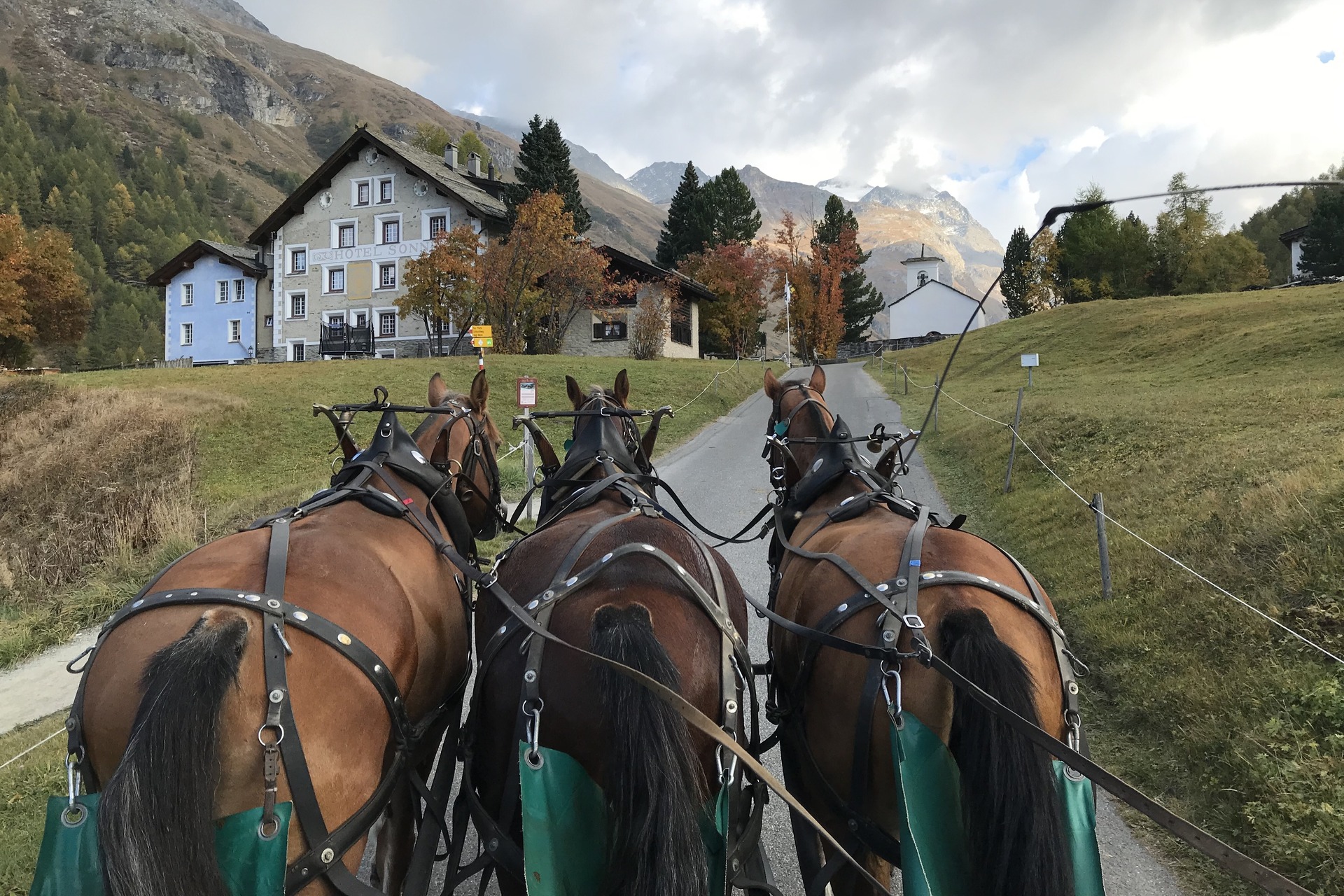 Rispetto dei suoli: un villaggio in Svizzera percorso da un carro trainato da cavalli